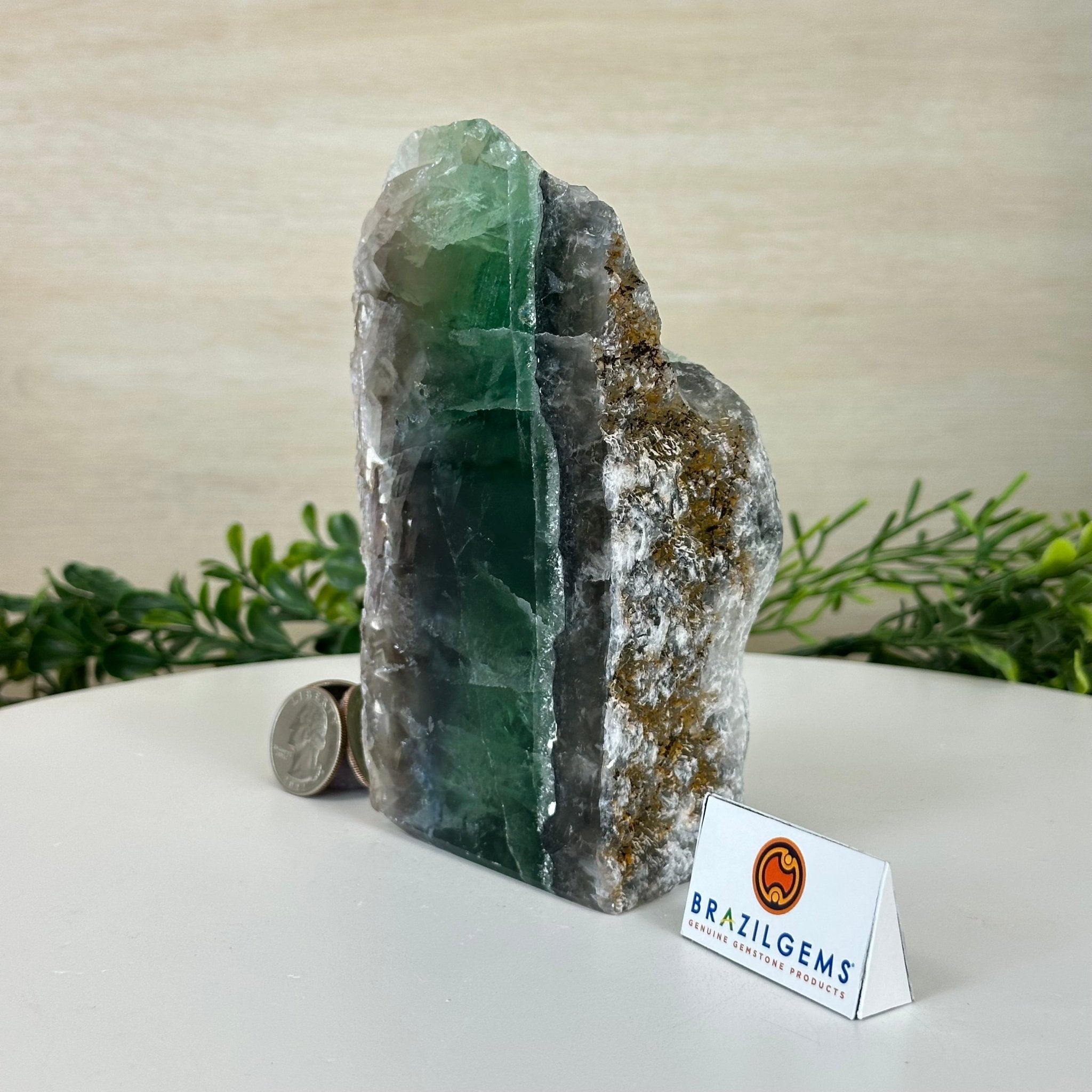 Polished Freeform Fluorite Gemstone, 2.8 lbs & 5.8” Tall #3303FL - 001 - Brazil GemsBrazil GemsPolished Freeform Fluorite Gemstone, 2.8 lbs & 5.8” Tall #3303FL - 001Freeform & Unique Shapes3303FL - 001