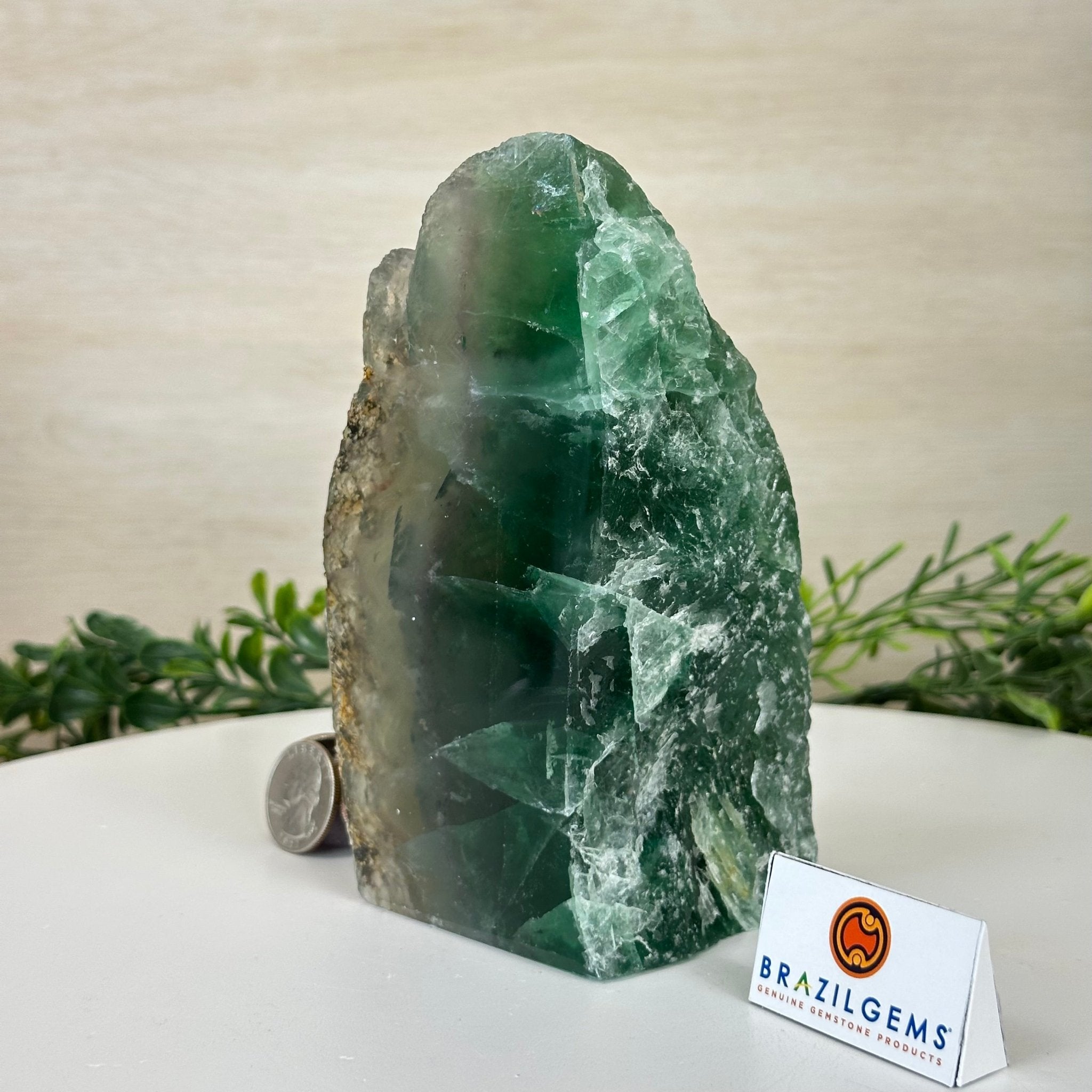 Polished Freeform Fluorite Gemstone, 3.1 lbs & 5.9” Tall #3303FL - 002 - Brazil GemsBrazil GemsPolished Freeform Fluorite Gemstone, 3.1 lbs & 5.9” Tall #3303FL - 002Freeform & Unique Shapes3303FL - 002