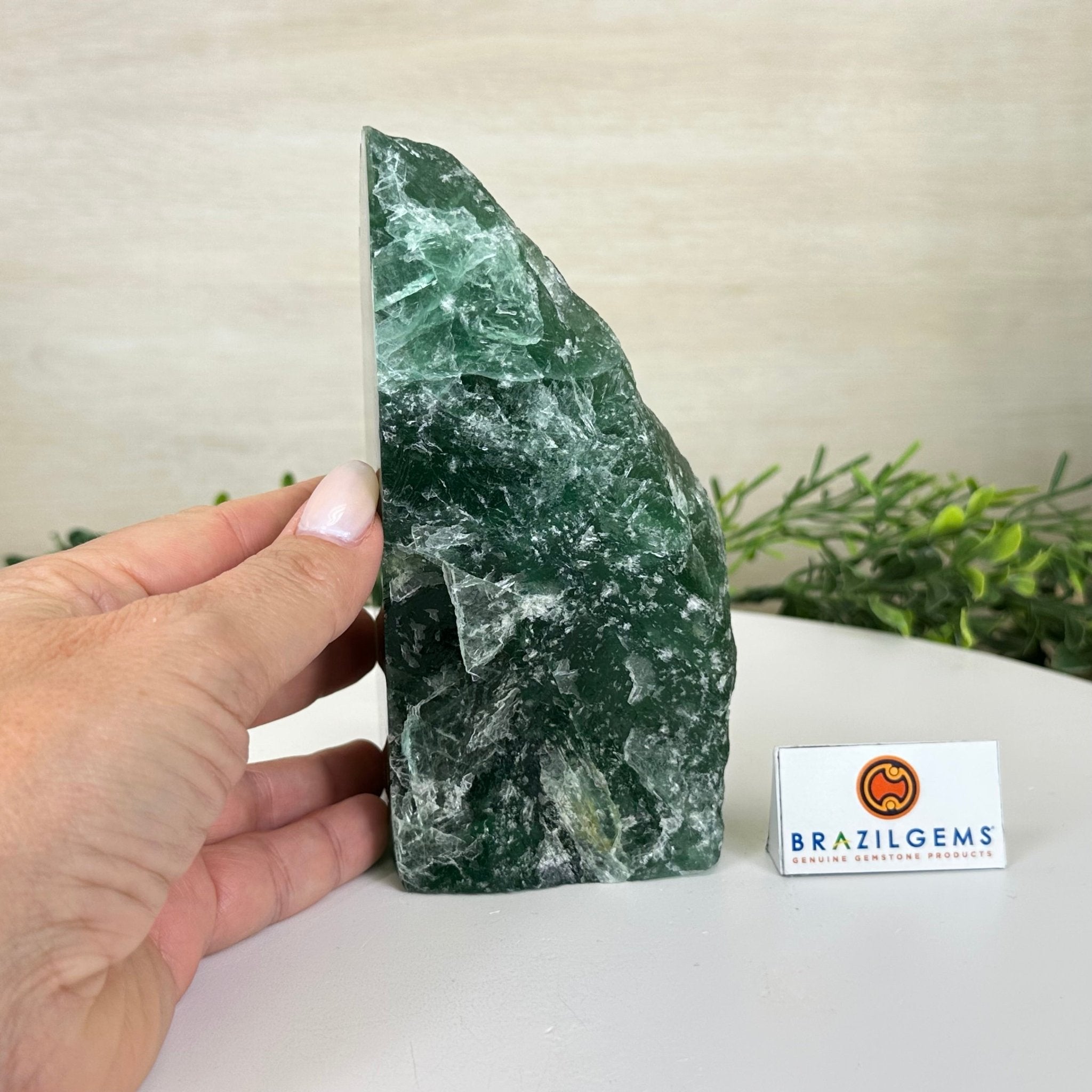 Polished Freeform Fluorite Gemstone, 3.1 lbs & 5.9” Tall #3303FL - 002 - Brazil GemsBrazil GemsPolished Freeform Fluorite Gemstone, 3.1 lbs & 5.9” Tall #3303FL - 002Freeform & Unique Shapes3303FL - 002