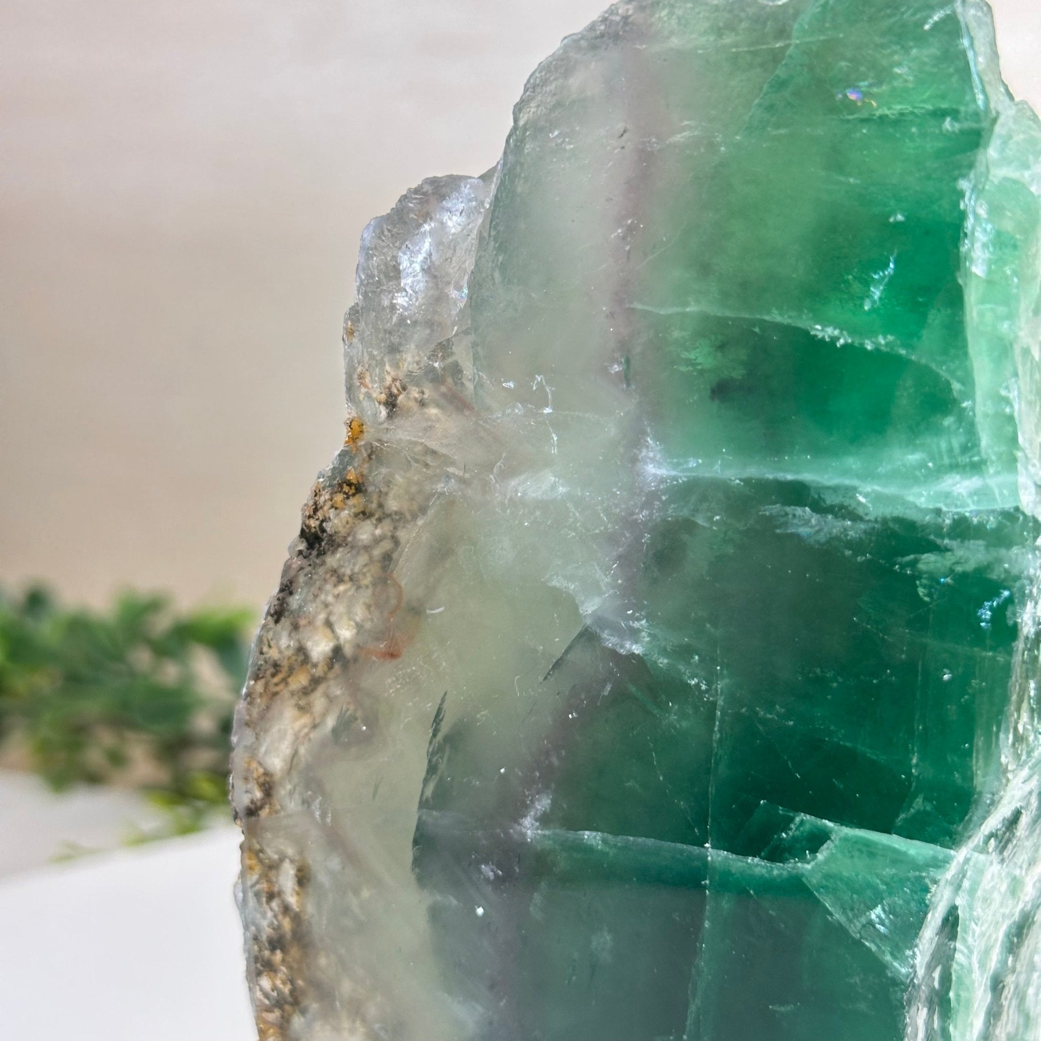 Polished Freeform Fluorite Gemstone, 3.1 lbs & 5.9” Tall #3303FL - 002 - Brazil GemsBrazil GemsPolished Freeform Fluorite Gemstone, 3.1 lbs & 5.9” Tall #3303FL - 002Freeform & Unique Shapes3303FL - 002