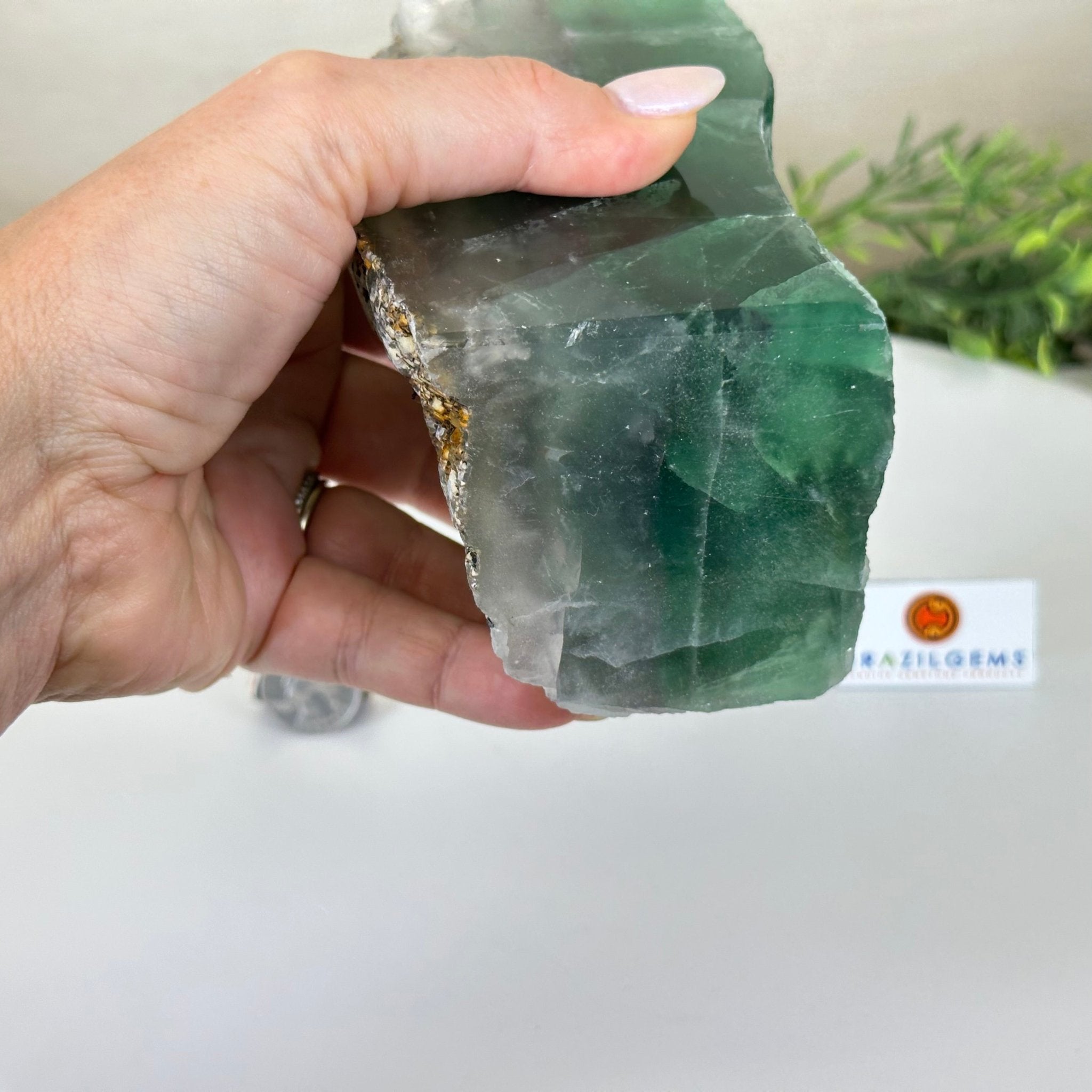 Polished Freeform Fluorite Gemstone, 3.1 lbs & 5.9” Tall #3303FL - 002 - Brazil GemsBrazil GemsPolished Freeform Fluorite Gemstone, 3.1 lbs & 5.9” Tall #3303FL - 002Freeform & Unique Shapes3303FL - 002