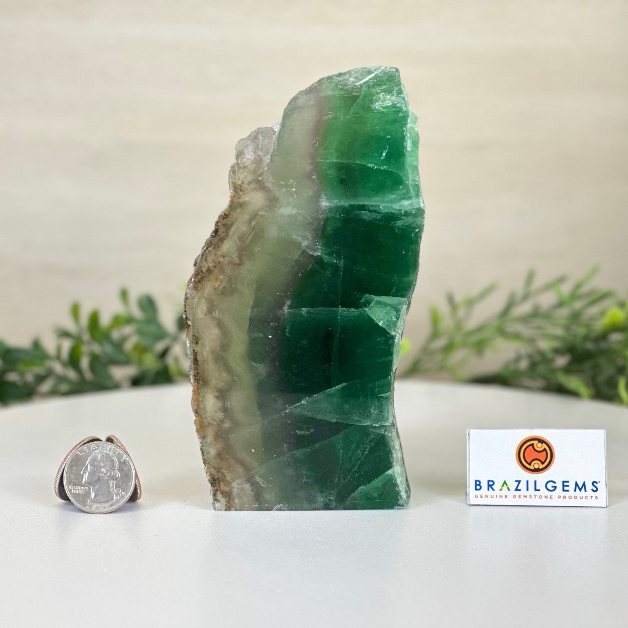 Polished Freeform Fluorite Gemstone, 3.1 lbs & 5.9” Tall #3303FL - 002 - Brazil GemsBrazil GemsPolished Freeform Fluorite Gemstone, 3.1 lbs & 5.9” Tall #3303FL - 002Freeform & Unique Shapes3303FL - 002