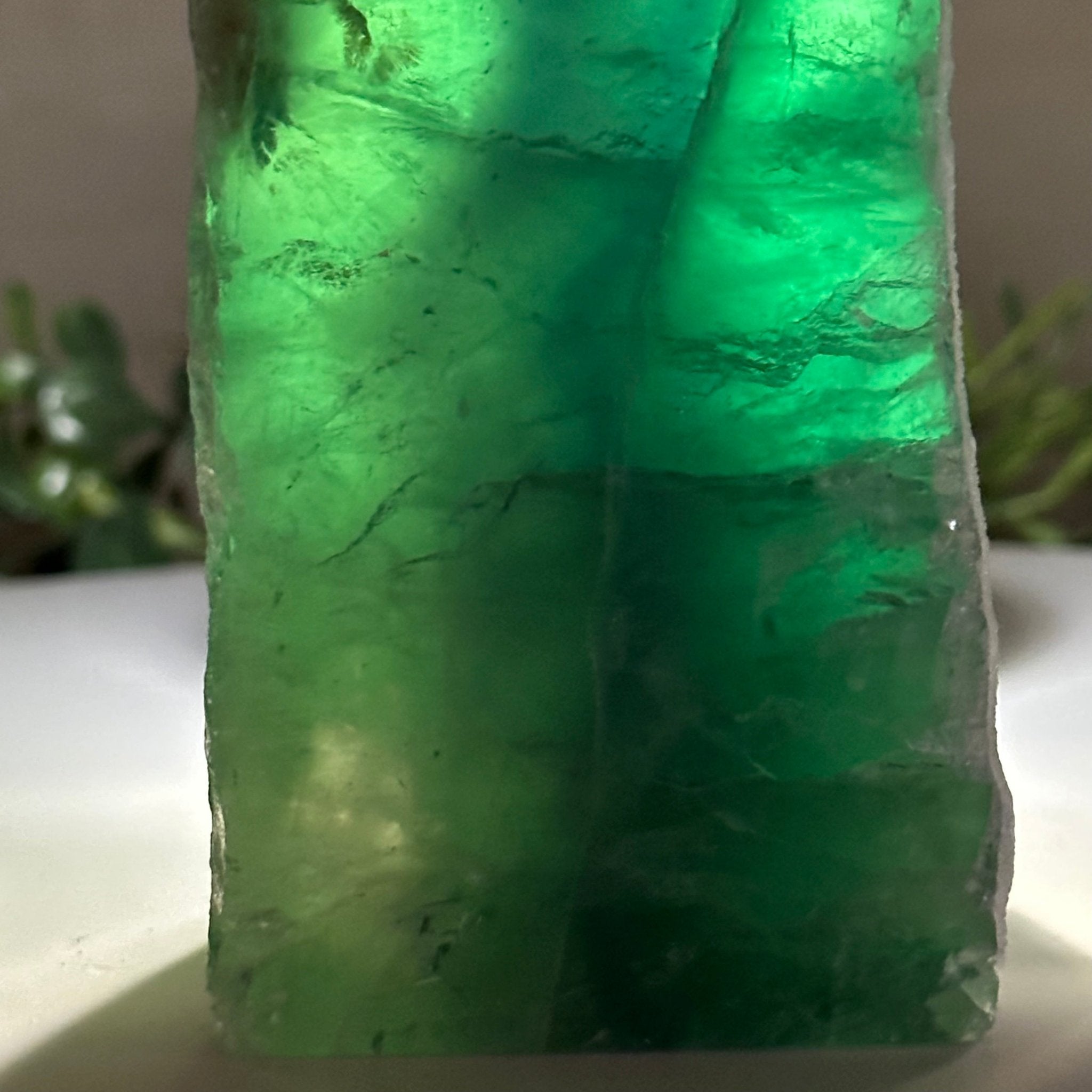 Polished Freeform Fluorite Gemstone, 3.1 lbs & 6.3” Tall #3303FL - 003 - Brazil GemsBrazil GemsPolished Freeform Fluorite Gemstone, 3.1 lbs & 6.3” Tall #3303FL - 003Freeform & Unique Shapes3303FL - 003