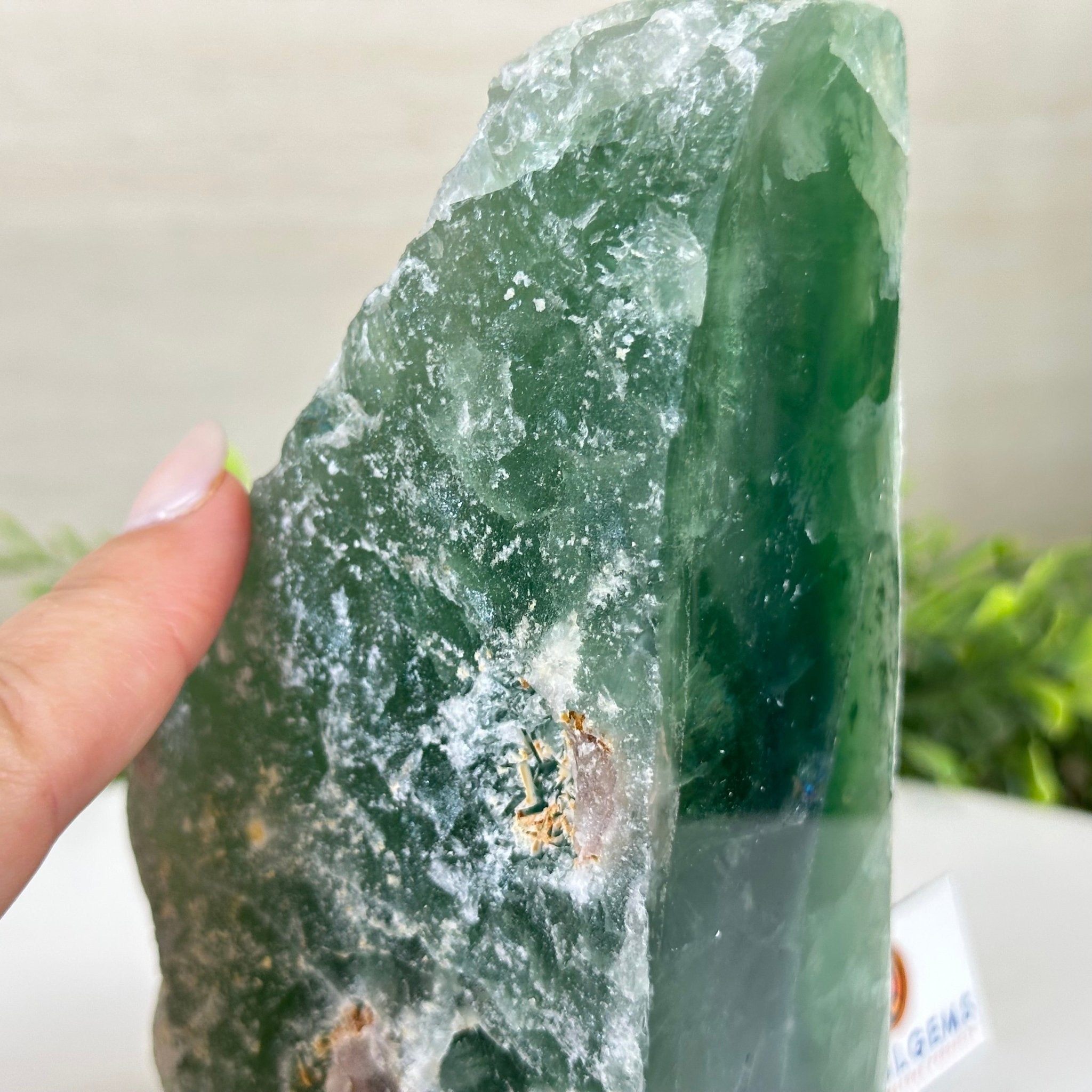 Polished Freeform Fluorite Gemstone, 3.1 lbs & 6.3” Tall #3303FL - 003 - Brazil GemsBrazil GemsPolished Freeform Fluorite Gemstone, 3.1 lbs & 6.3” Tall #3303FL - 003Freeform & Unique Shapes3303FL - 003