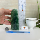 Polished Freeform Fluorite Gemstone, 3.1 lbs & 6.3” Tall #3303FL - 003 - Brazil GemsBrazil GemsPolished Freeform Fluorite Gemstone, 3.1 lbs & 6.3” Tall #3303FL - 003Freeform & Unique Shapes3303FL - 003