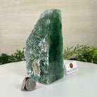 Polished Freeform Fluorite Gemstone, 3.1 lbs & 6.3” Tall #3303FL - 003 - Brazil GemsBrazil GemsPolished Freeform Fluorite Gemstone, 3.1 lbs & 6.3” Tall #3303FL - 003Freeform & Unique Shapes3303FL - 003