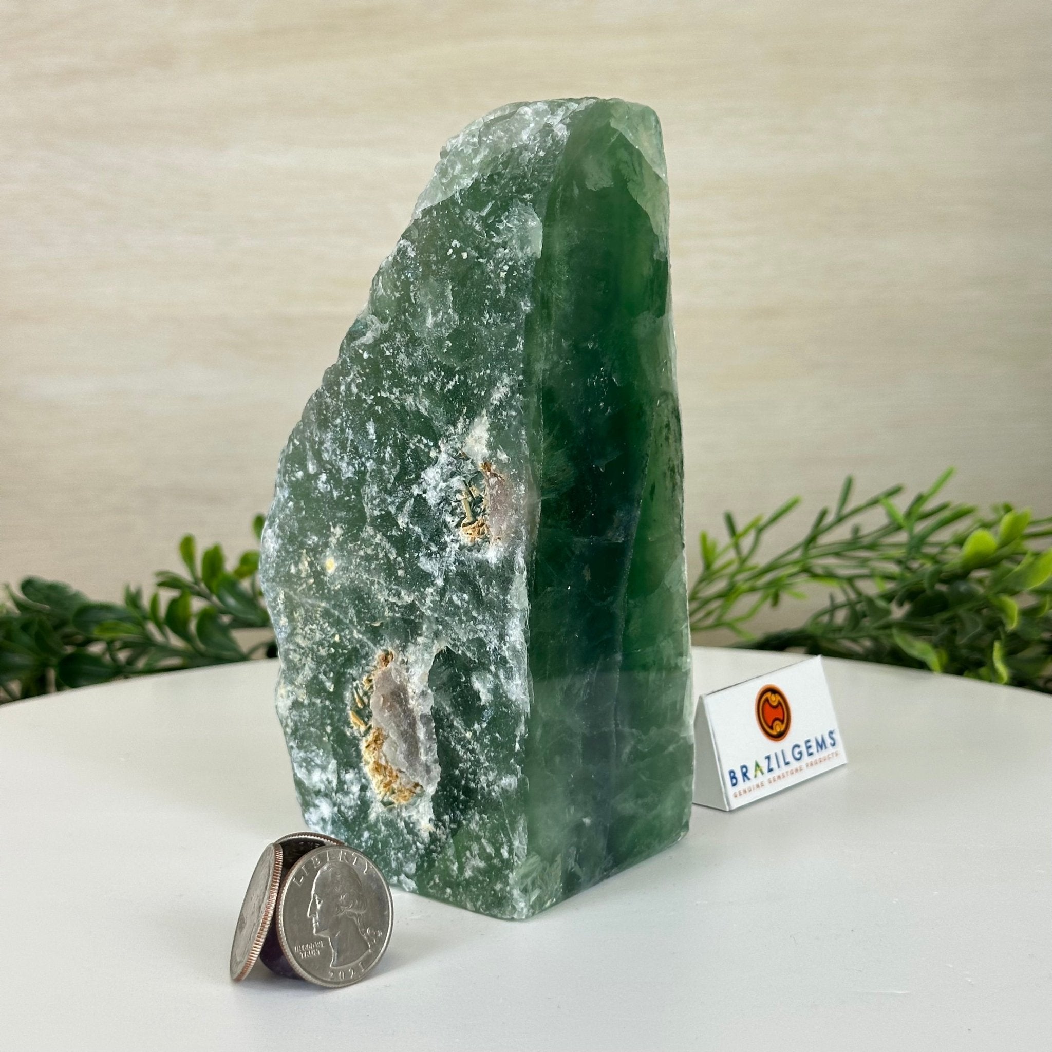Polished Freeform Fluorite Gemstone, 3.1 lbs & 6.3” Tall #3303FL - 003 - Brazil GemsBrazil GemsPolished Freeform Fluorite Gemstone, 3.1 lbs & 6.3” Tall #3303FL - 003Freeform & Unique Shapes3303FL - 003