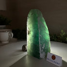 Polished Freeform Fluorite Gemstone, 3.1 lbs & 6.3” Tall #3303FL - 003 - Brazil GemsBrazil GemsPolished Freeform Fluorite Gemstone, 3.1 lbs & 6.3” Tall #3303FL - 003Freeform & Unique Shapes3303FL - 003