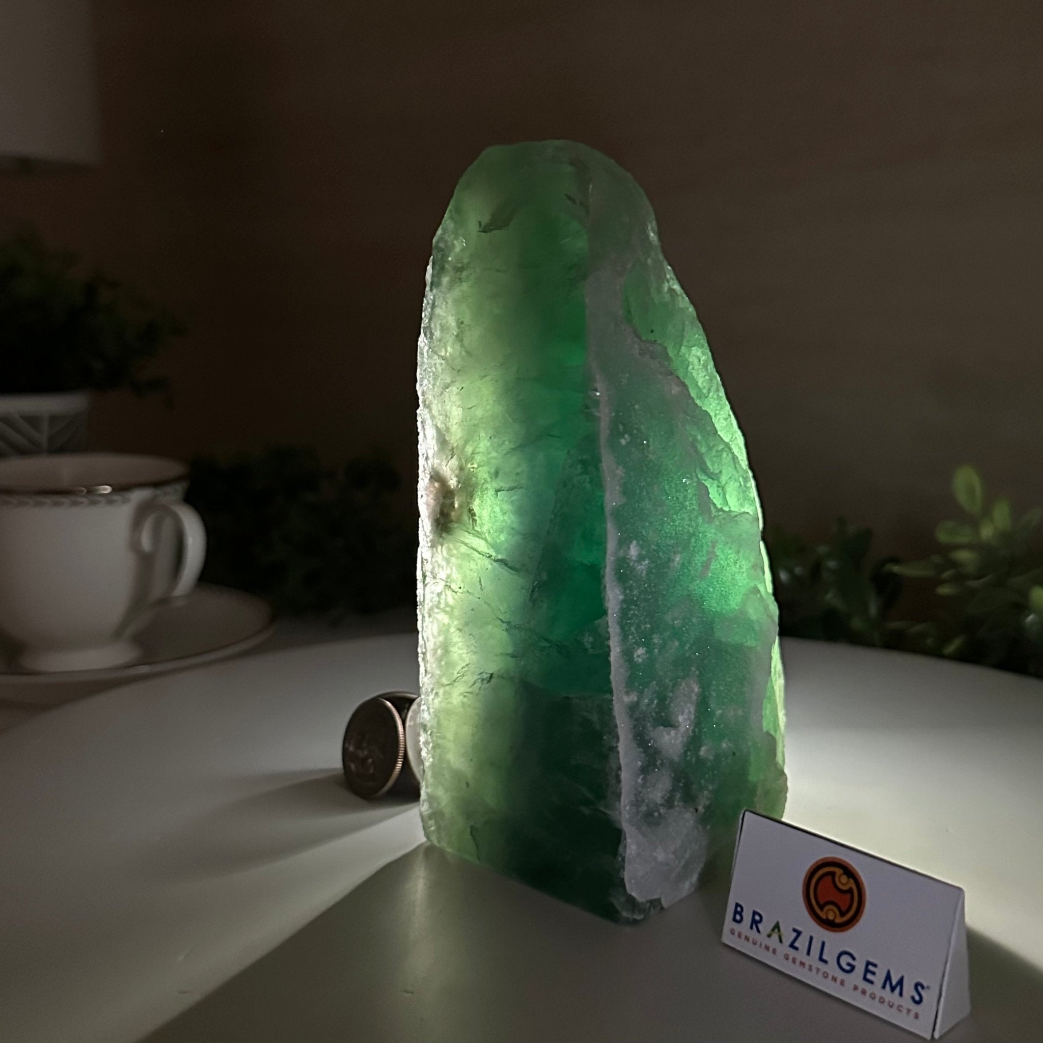 Polished Freeform Fluorite Gemstone, 3.1 lbs & 6.3” Tall #3303FL - 003 - Brazil GemsBrazil GemsPolished Freeform Fluorite Gemstone, 3.1 lbs & 6.3” Tall #3303FL - 003Freeform & Unique Shapes3303FL - 003