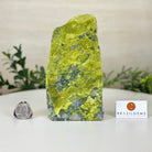 Polished Freeform Fluorite Gemstone, 3.5 lbs & 6.2” Tall #3303SE - 002 - Brazil GemsBrazil GemsPolished Freeform Fluorite Gemstone, 3.5 lbs & 6.2” Tall #3303SE - 002Freeform & Unique Shapes3303SE - 002