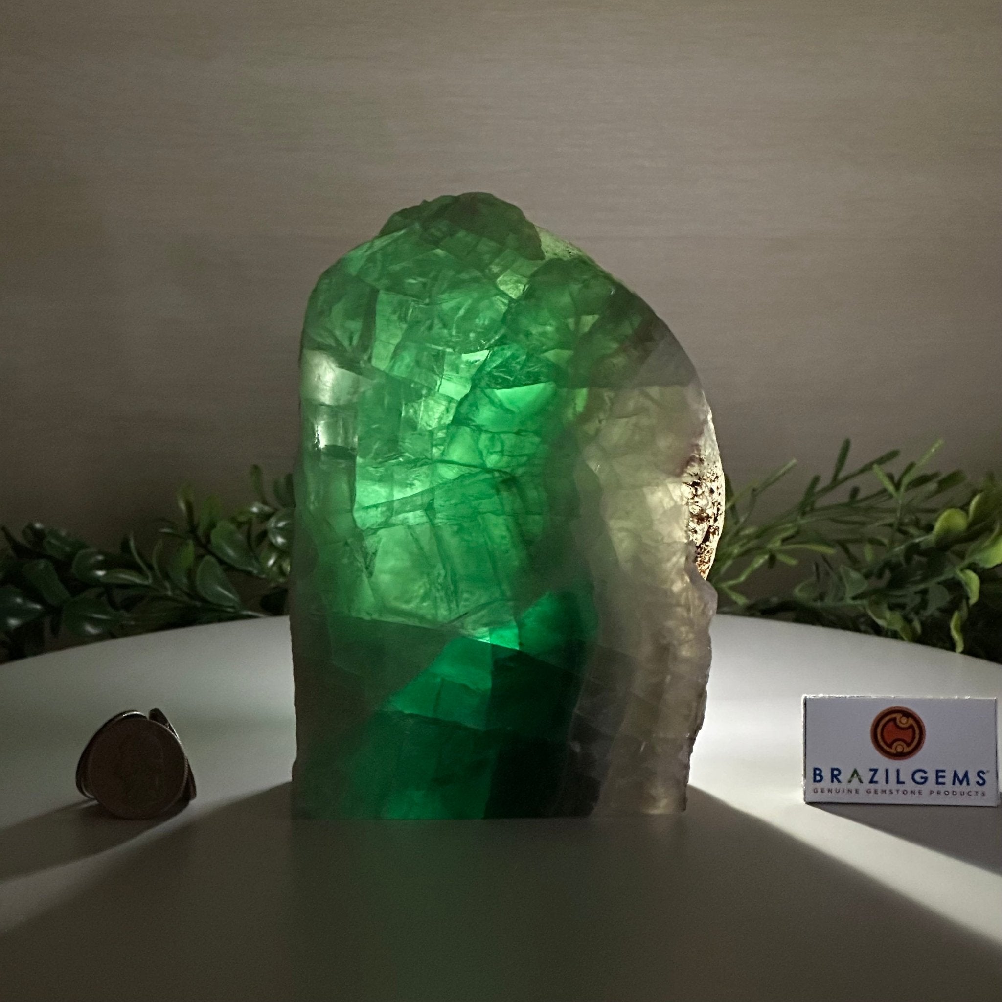 Polished Freeform Fluorite Gemstone, 3.9 lbs & 6” Tall #3303FL - 004 - Brazil GemsBrazil GemsPolished Freeform Fluorite Gemstone, 3.9 lbs & 6” Tall #3303FL - 004Freeform & Unique Shapes3303FL - 004