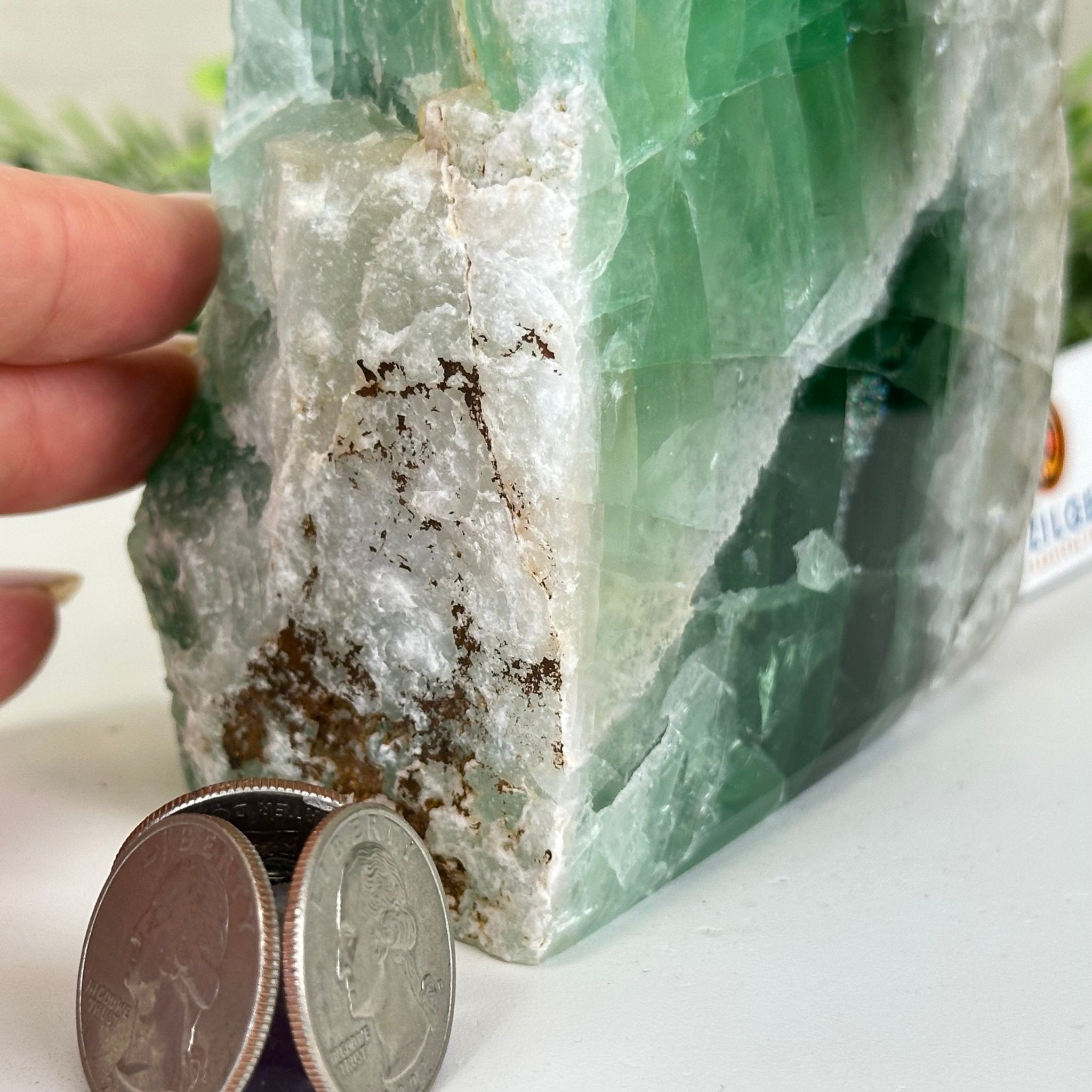 Polished Freeform Fluorite Gemstone, 3.9 lbs & 6” Tall #3303FL - 004 - Brazil GemsBrazil GemsPolished Freeform Fluorite Gemstone, 3.9 lbs & 6” Tall #3303FL - 004Freeform & Unique Shapes3303FL - 004