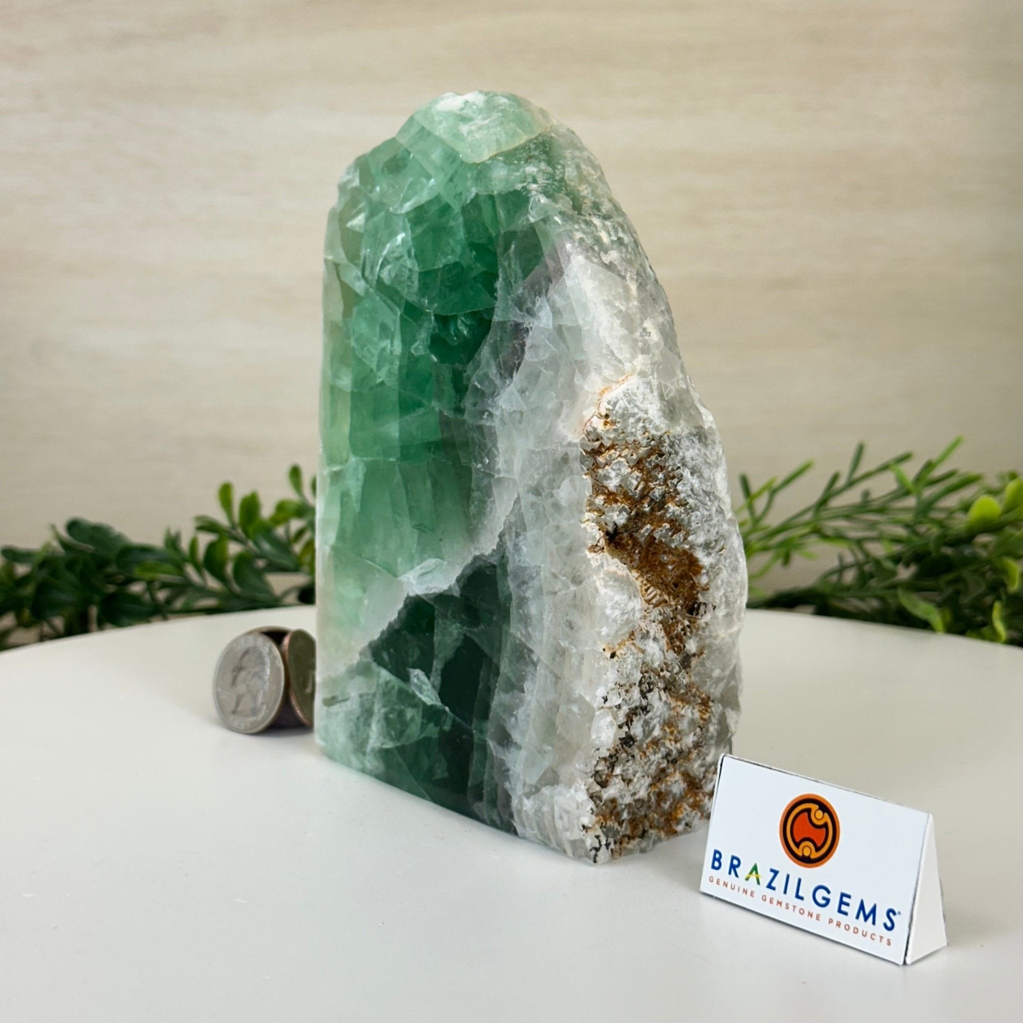 Polished Freeform Fluorite Gemstone, 3.9 lbs & 6” Tall #3303FL - 004 - Brazil GemsBrazil GemsPolished Freeform Fluorite Gemstone, 3.9 lbs & 6” Tall #3303FL - 004Freeform & Unique Shapes3303FL - 004