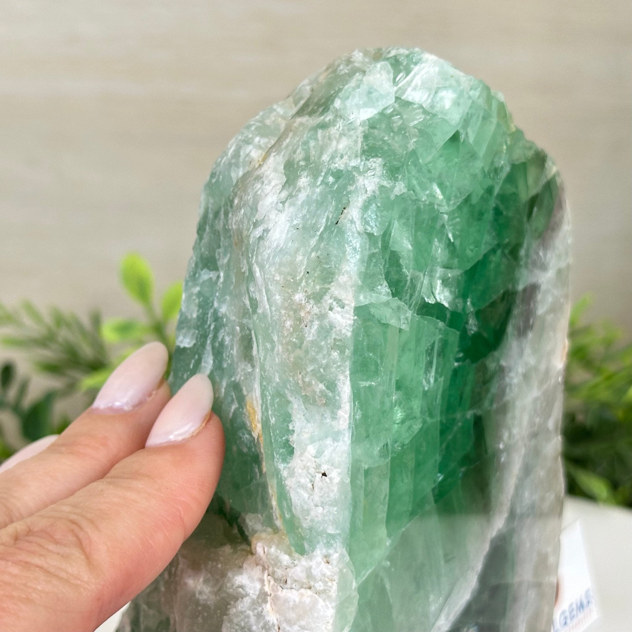 Polished Freeform Fluorite Gemstone, 3.9 lbs & 6” Tall #3303FL - 004 - Brazil GemsBrazil GemsPolished Freeform Fluorite Gemstone, 3.9 lbs & 6” Tall #3303FL - 004Freeform & Unique Shapes3303FL - 004