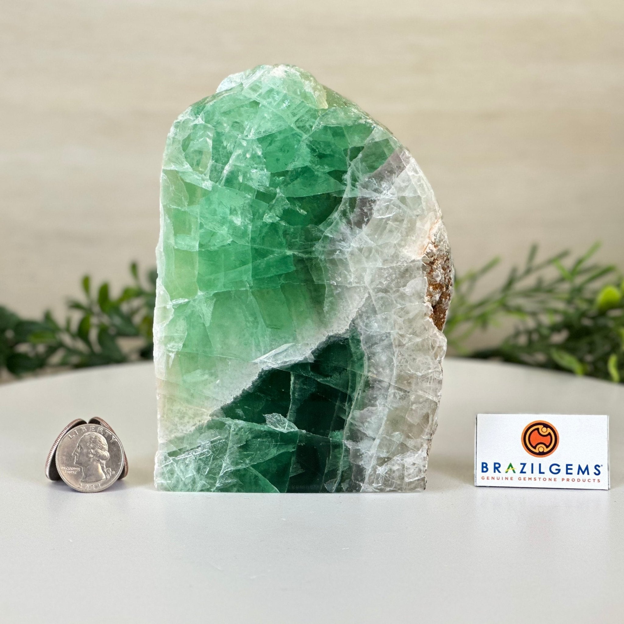Polished Freeform Fluorite Gemstone, 3.9 lbs & 6” Tall #3303FL - 004 - Brazil GemsBrazil GemsPolished Freeform Fluorite Gemstone, 3.9 lbs & 6” Tall #3303FL - 004Freeform & Unique Shapes3303FL - 004