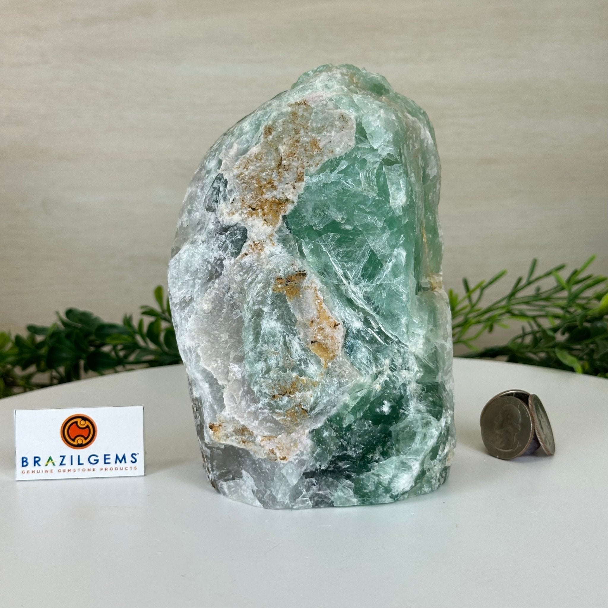 Polished Freeform Fluorite Gemstone, 3.9 lbs & 6” Tall #3303FL - 004 - Brazil GemsBrazil GemsPolished Freeform Fluorite Gemstone, 3.9 lbs & 6” Tall #3303FL - 004Freeform & Unique Shapes3303FL - 004