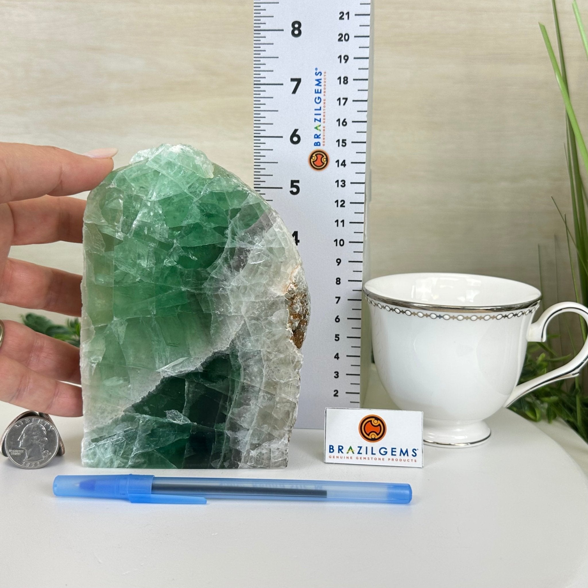 Polished Freeform Fluorite Gemstone, 3.9 lbs & 6” Tall #3303FL - 004 - Brazil GemsBrazil GemsPolished Freeform Fluorite Gemstone, 3.9 lbs & 6” Tall #3303FL - 004Freeform & Unique Shapes3303FL - 004