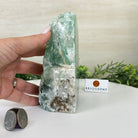 Polished Freeform Fluorite Gemstone, 3.9 lbs & 6” Tall #3303FL - 004 - Brazil GemsBrazil GemsPolished Freeform Fluorite Gemstone, 3.9 lbs & 6” Tall #3303FL - 004Freeform & Unique Shapes3303FL - 004