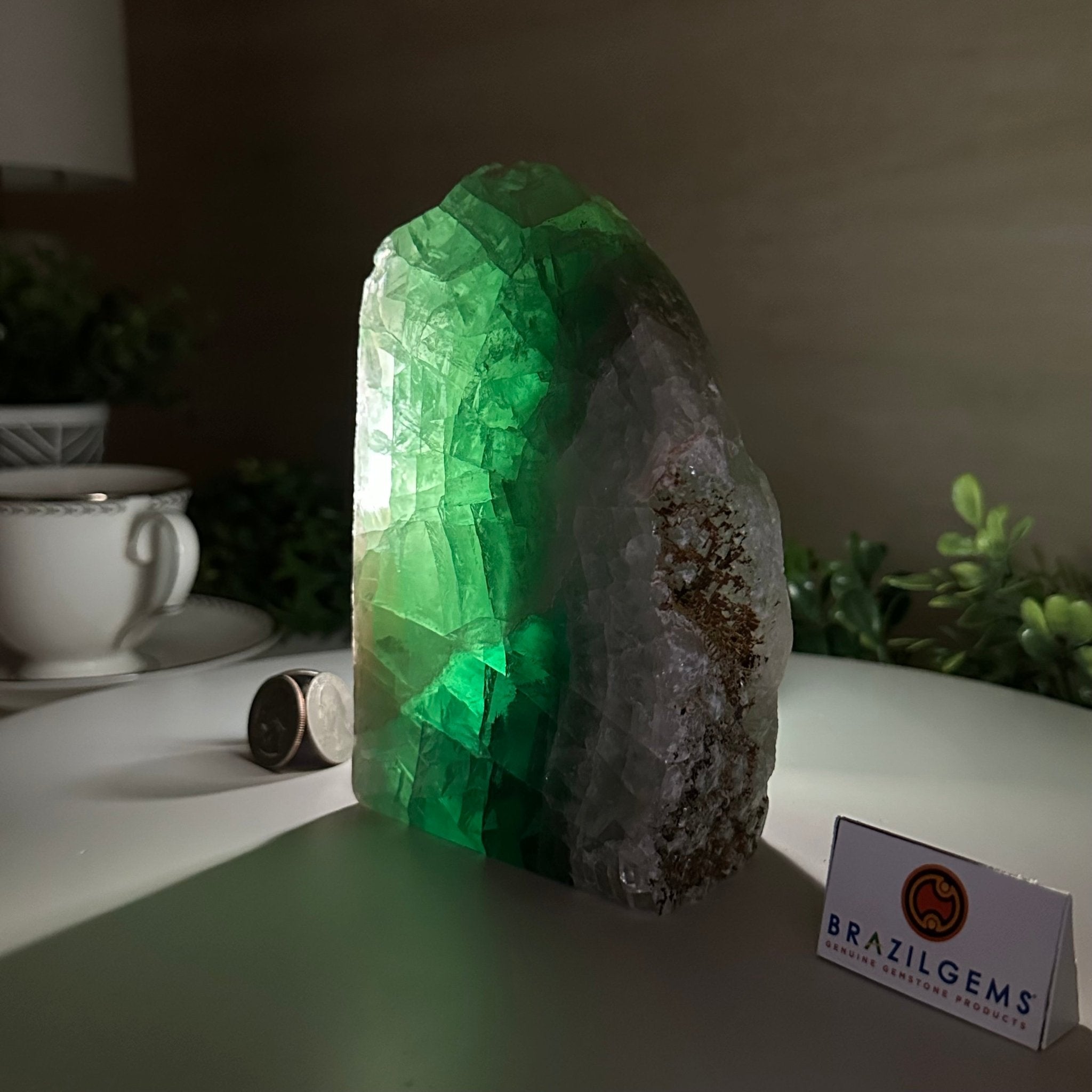 Polished Freeform Fluorite Gemstone, 3.9 lbs & 6” Tall #3303FL - 004 - Brazil GemsBrazil GemsPolished Freeform Fluorite Gemstone, 3.9 lbs & 6” Tall #3303FL - 004Freeform & Unique Shapes3303FL - 004