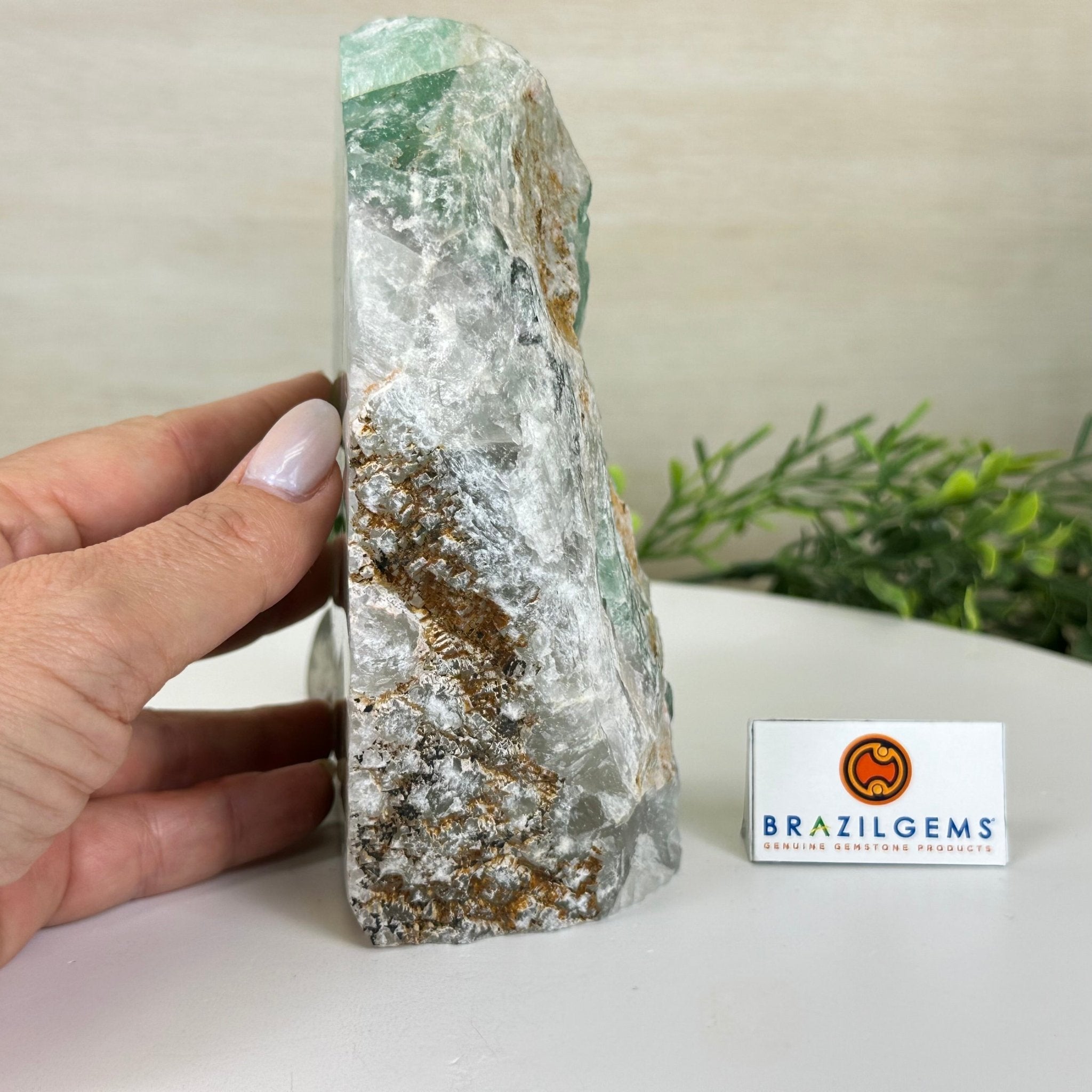 Polished Freeform Fluorite Gemstone, 3.9 lbs & 6” Tall #3303FL - 004 - Brazil GemsBrazil GemsPolished Freeform Fluorite Gemstone, 3.9 lbs & 6” Tall #3303FL - 004Freeform & Unique Shapes3303FL - 004