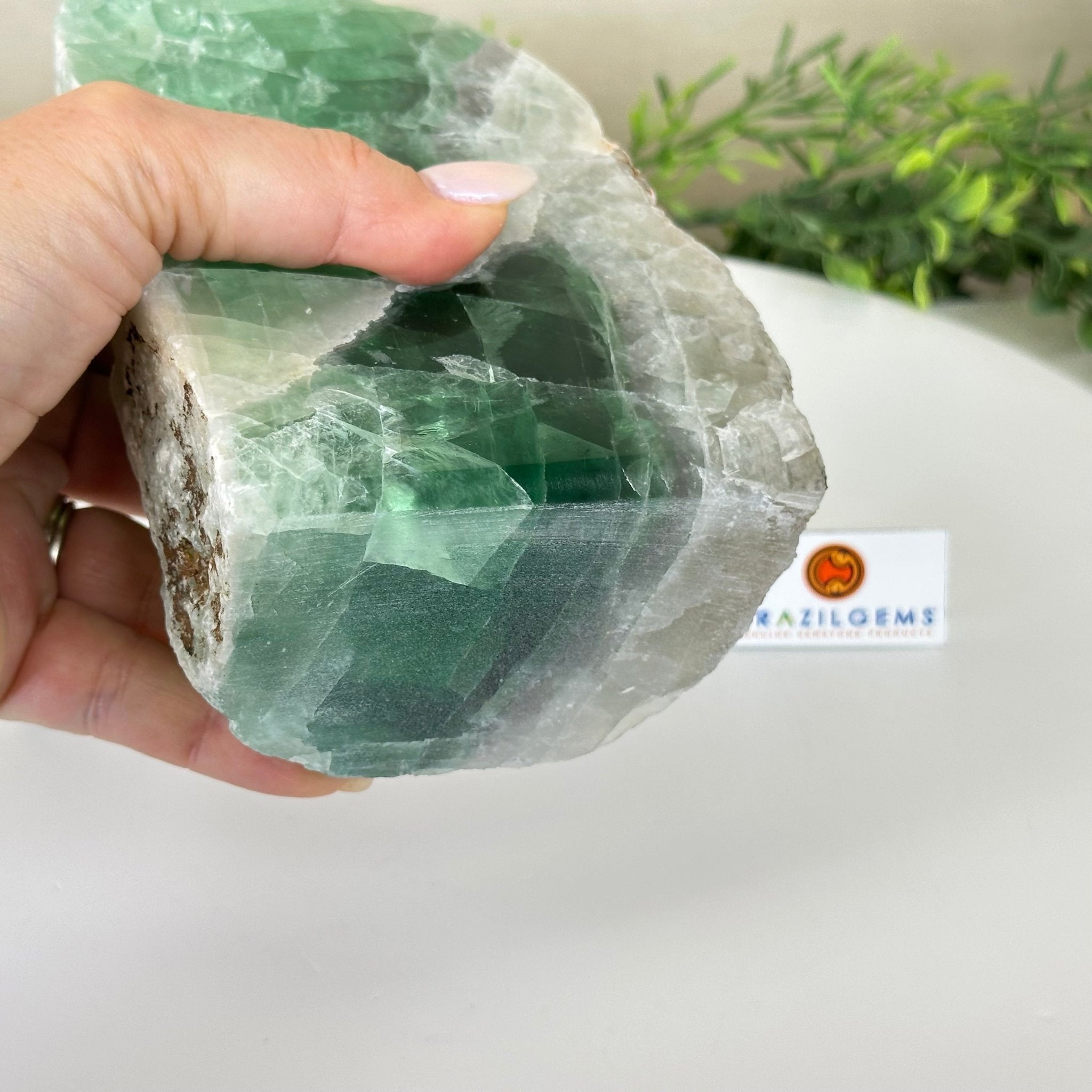 Polished Freeform Fluorite Gemstone, 3.9 lbs & 6” Tall #3303FL - 004 - Brazil GemsBrazil GemsPolished Freeform Fluorite Gemstone, 3.9 lbs & 6” Tall #3303FL - 004Freeform & Unique Shapes3303FL - 004