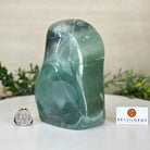 Polished Freeform Green Quartz Gemstone, 3.4 lbs & 6.2” Tall #3301GQ - 001 - Brazil GemsBrazil GemsPolished Freeform Green Quartz Gemstone, 3.4 lbs & 6.2” Tall #3301GQ - 001Freeform & Unique Shapes3301GQ - 001