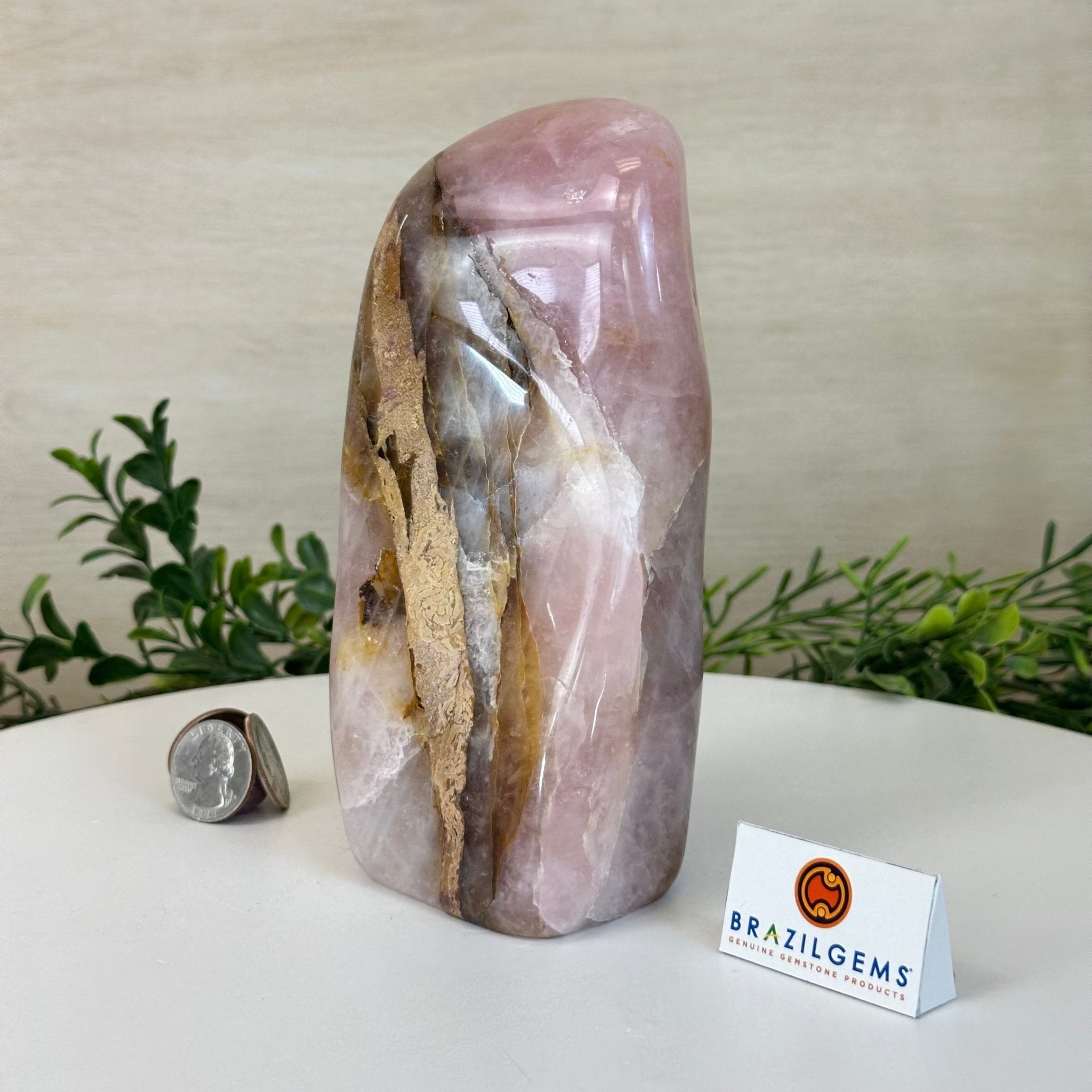Polished Freeform Hematoid Rose Quartz Gemstone, 2.9 lbs & 6.5” Tall #3301HR - 003 - Brazil GemsBrazil GemsPolished Freeform Hematoid Rose Quartz Gemstone, 2.9 lbs & 6.5” Tall #3301HR - 003Freeform & Unique Shapes3301HR - 003
