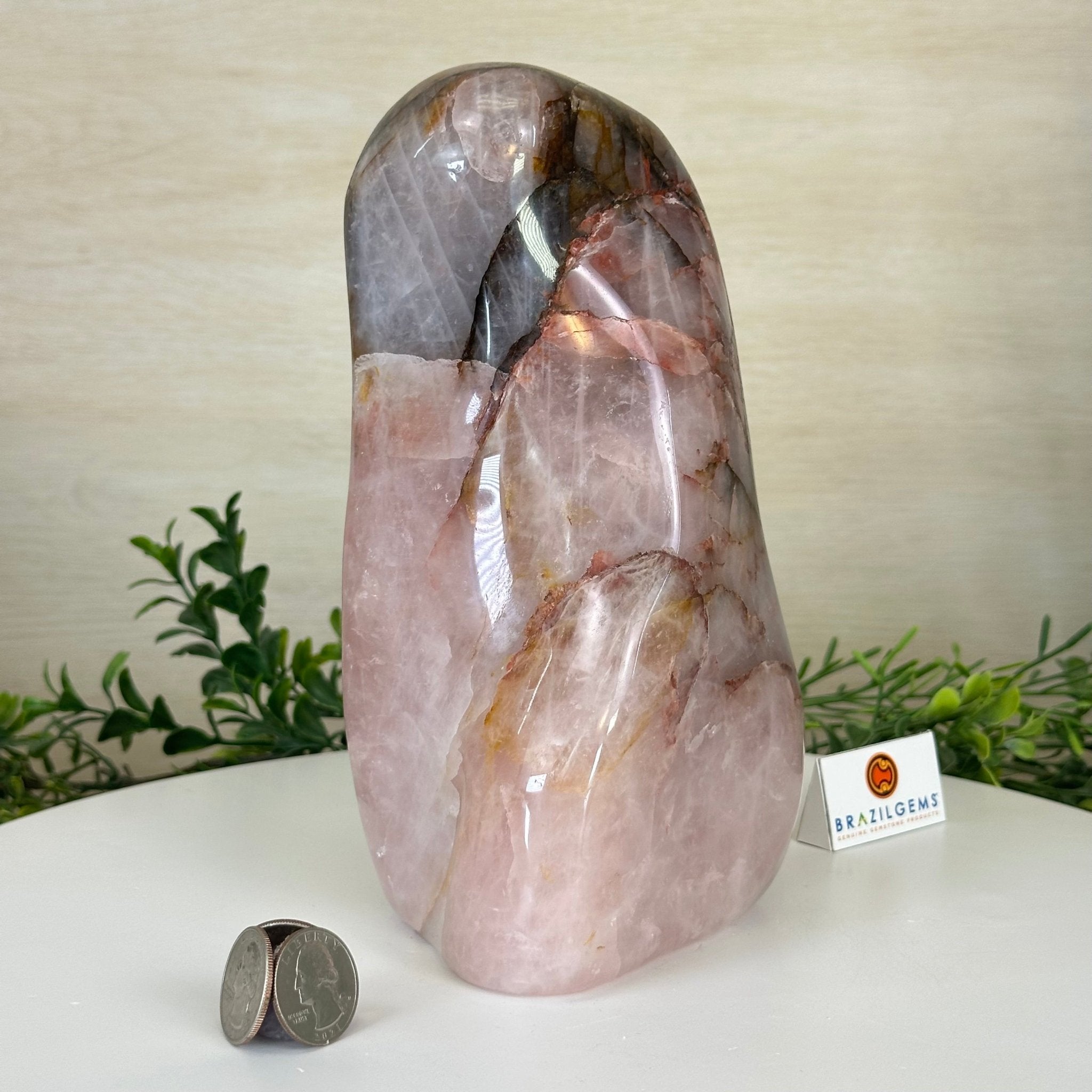 Polished Freeform Hematoid Rose Quartz Gemstone, 6.5 lbs & 8.5” Tall #3301HR - 001 - Brazil GemsBrazil GemsPolished Freeform Hematoid Rose Quartz Gemstone, 6.5 lbs & 8.5” Tall #3301HR - 001Freeform & Unique Shapes3301HR - 001