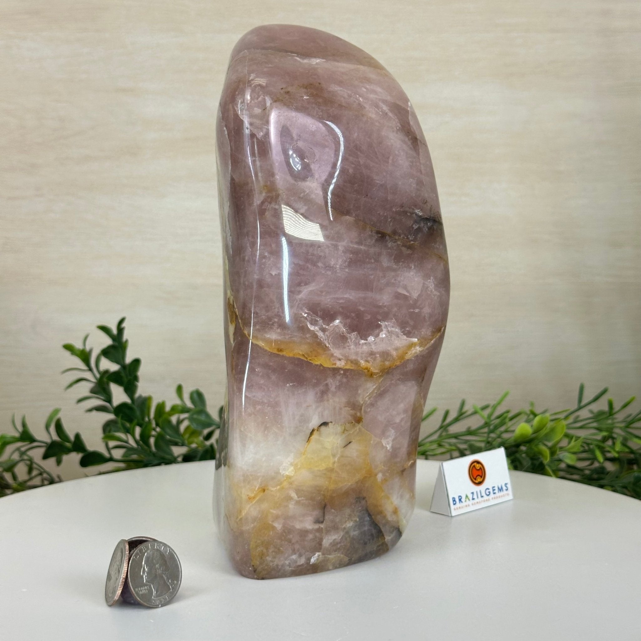 Polished Freeform Hematoid Rose Quartz Gemstone, 6.6 lbs & 8.9” Tall #3301HR - 002 - Brazil GemsBrazil GemsPolished Freeform Hematoid Rose Quartz Gemstone, 6.6 lbs & 8.9” Tall #3301HR - 002Freeform & Unique Shapes3301HR - 002