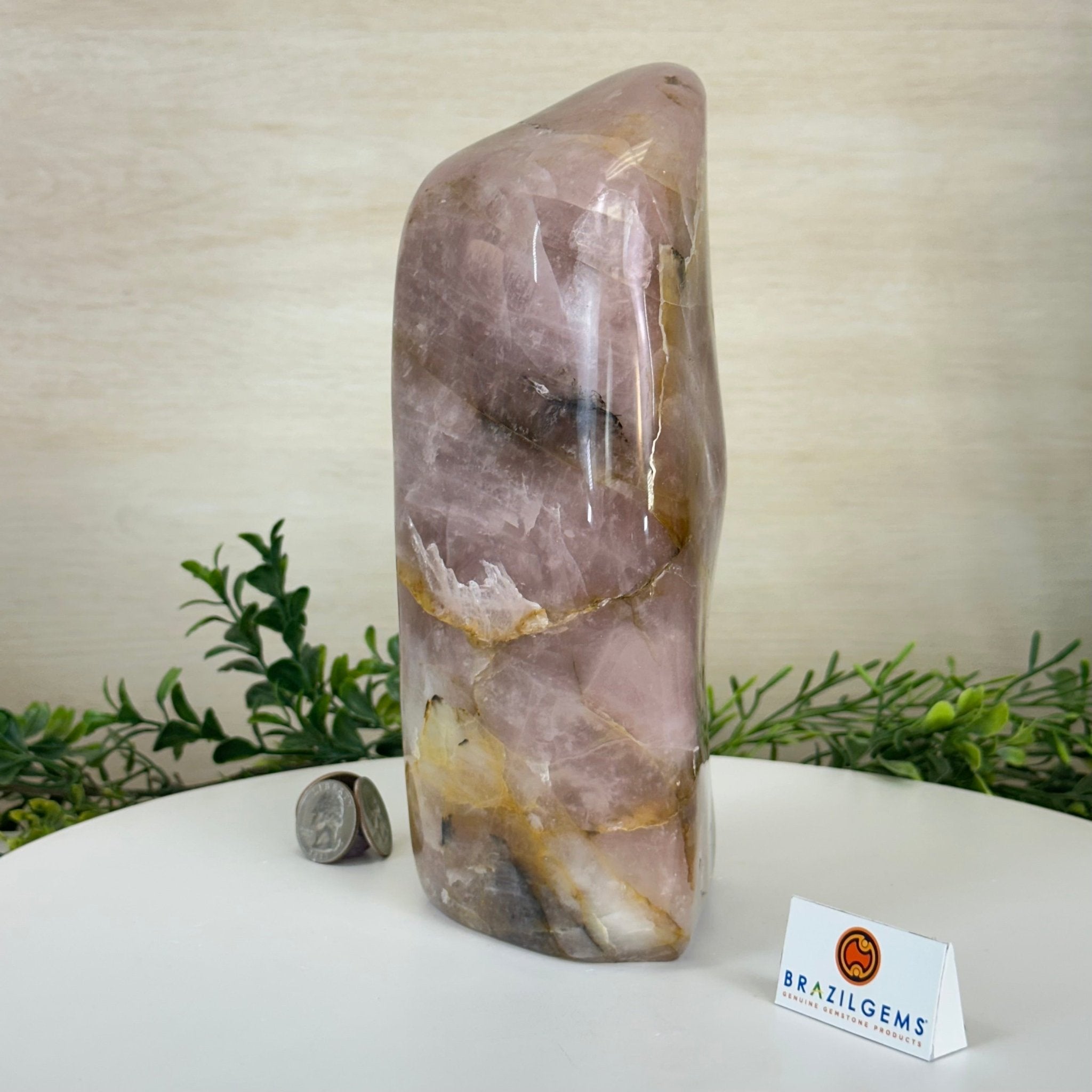 Polished Freeform Hematoid Rose Quartz Gemstone, 6.6 lbs & 8.9” Tall #3301HR - 002 - Brazil GemsBrazil GemsPolished Freeform Hematoid Rose Quartz Gemstone, 6.6 lbs & 8.9” Tall #3301HR - 002Freeform & Unique Shapes3301HR - 002