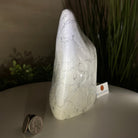 Polished Freeform Howlite Gemstone, 4.4 lbs & 7.1” Tall #3301HW - 001 - Brazil GemsBrazil GemsPolished Freeform Howlite Gemstone, 4.4 lbs & 7.1” Tall #3301HW - 001Freeform & Unique Shapes3301HW - 001