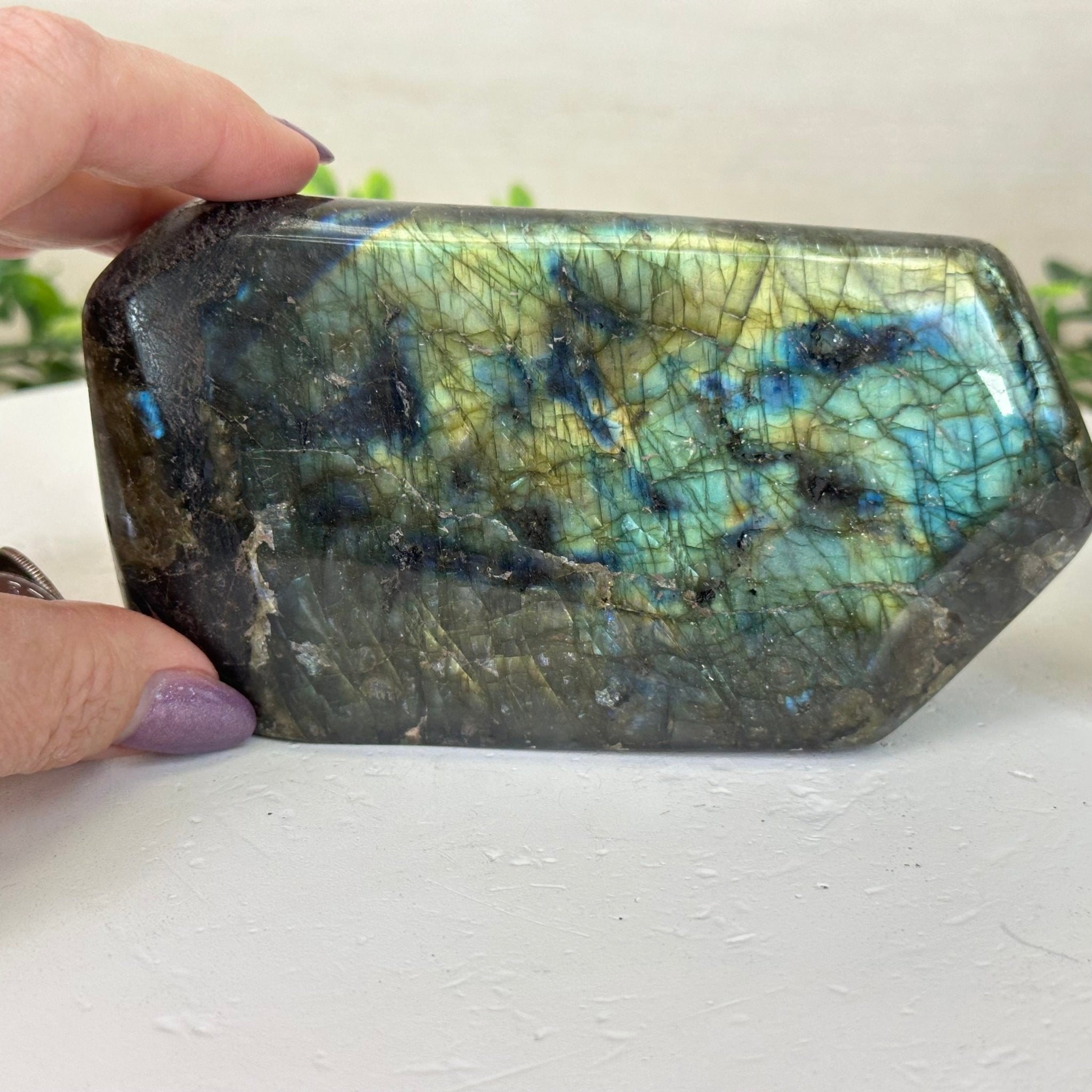 Polished Freeform Labradorite Gemstone, 2.3 lbs & 3” Tall #3301LB - 011 - Brazil GemsBrazil GemsPolished Freeform Labradorite Gemstone, 2.3 lbs & 3” Tall #3301LB - 011Freeform & Unique Shapes3301LB - 011