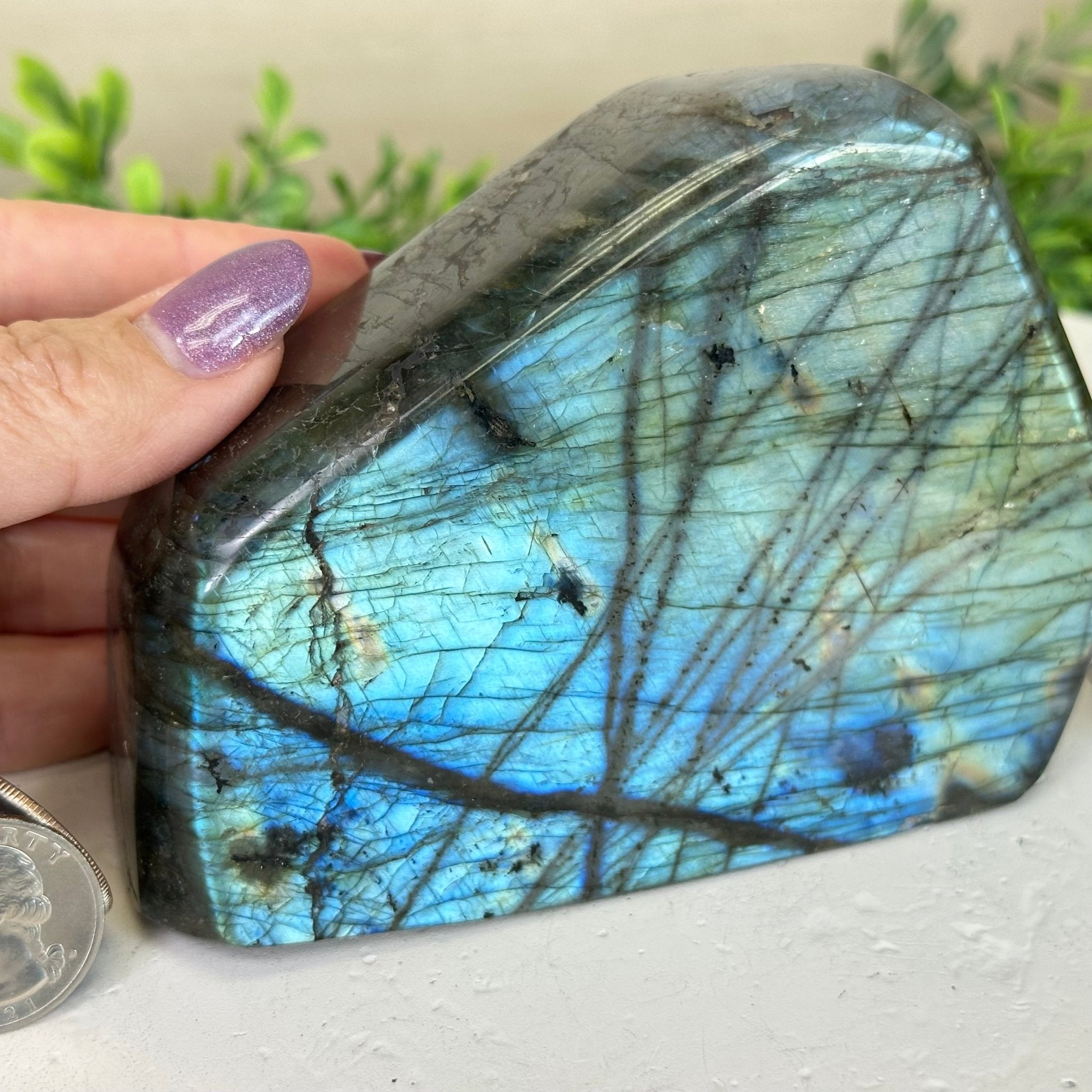 Polished Freeform Labradorite Gemstone, 2.3 lbs & 3.5” Tall #3301LB - 012 - Brazil GemsBrazil GemsPolished Freeform Labradorite Gemstone, 2.3 lbs & 3.5” Tall #3301LB - 012Freeform & Unique Shapes3301LB - 012