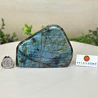 Polished Freeform Labradorite Gemstone, 2.3 lbs & 3.5” Tall #3301LB - 012 - Brazil GemsBrazil GemsPolished Freeform Labradorite Gemstone, 2.3 lbs & 3.5” Tall #3301LB - 012Freeform & Unique Shapes3301LB - 012