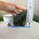 Polished Freeform Labradorite Gemstone, 2.4 lbs & 5.1” Tall #3301LB - 013 - Brazil GemsBrazil GemsPolished Freeform Labradorite Gemstone, 2.4 lbs & 5.1” Tall #3301LB - 013Freeform & Unique Shapes3301LB - 013