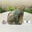 Polished Freeform Labradorite Gemstone, 2.4 lbs & 5.1” Tall #3301LB - 013 - Brazil GemsBrazil GemsPolished Freeform Labradorite Gemstone, 2.4 lbs & 5.1” Tall #3301LB - 013Freeform & Unique Shapes3301LB - 013