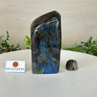 Polished Freeform Labradorite Gemstone, 2.4 lbs & 5.5” Tall #3301LB - 014 - Brazil GemsBrazil GemsPolished Freeform Labradorite Gemstone, 2.4 lbs & 5.5” Tall #3301LB - 014Freeform & Unique Shapes3301LB - 014