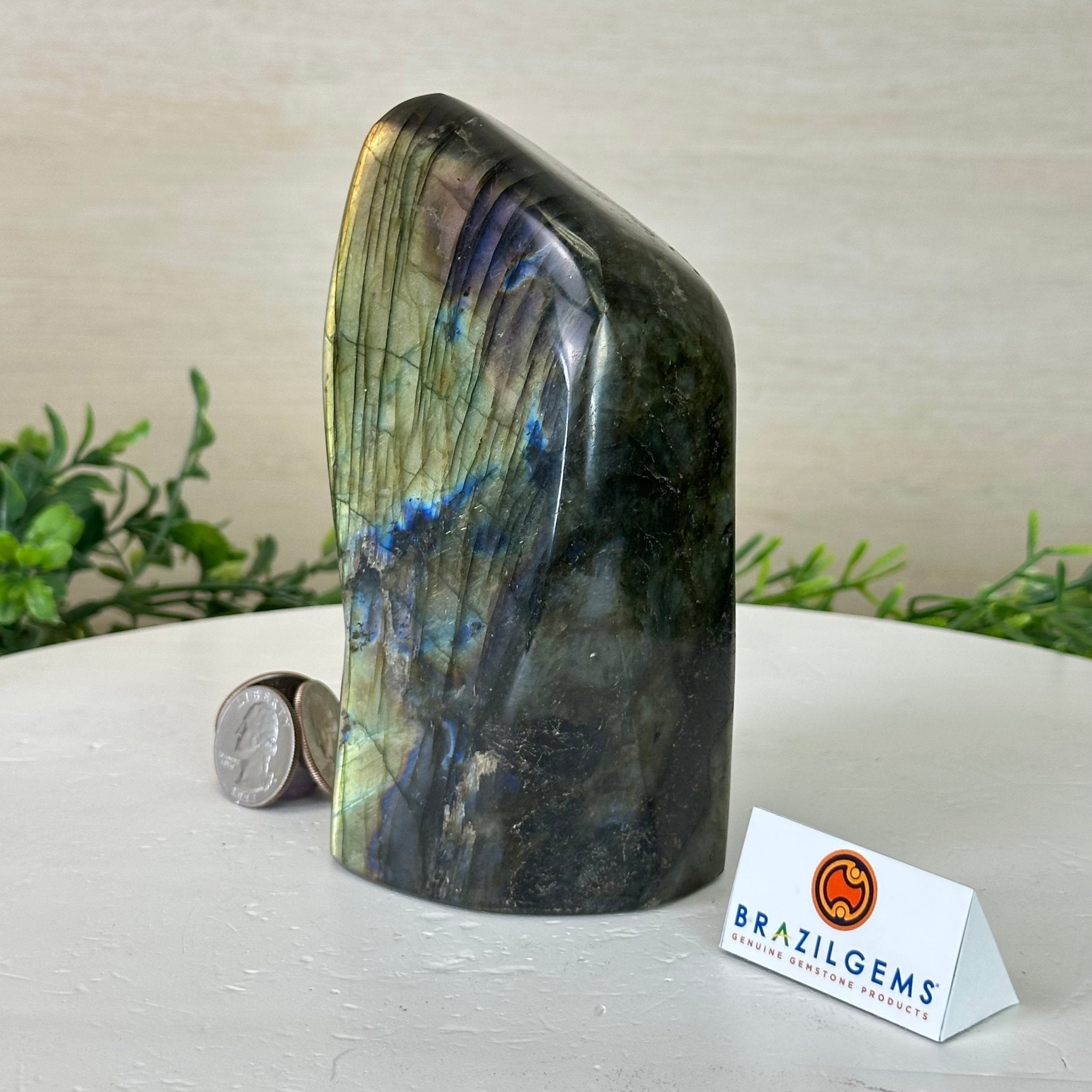 Polished Freeform Labradorite Gemstone, 2.4 lbs & 5.5” Tall #3301LB - 014 - Brazil GemsBrazil GemsPolished Freeform Labradorite Gemstone, 2.4 lbs & 5.5” Tall #3301LB - 014Freeform & Unique Shapes3301LB - 014