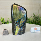 Polished Freeform Labradorite Gemstone, 2.4 lbs & 5.5” Tall #3301LB - 014 - Brazil GemsBrazil GemsPolished Freeform Labradorite Gemstone, 2.4 lbs & 5.5” Tall #3301LB - 014Freeform & Unique Shapes3301LB - 014