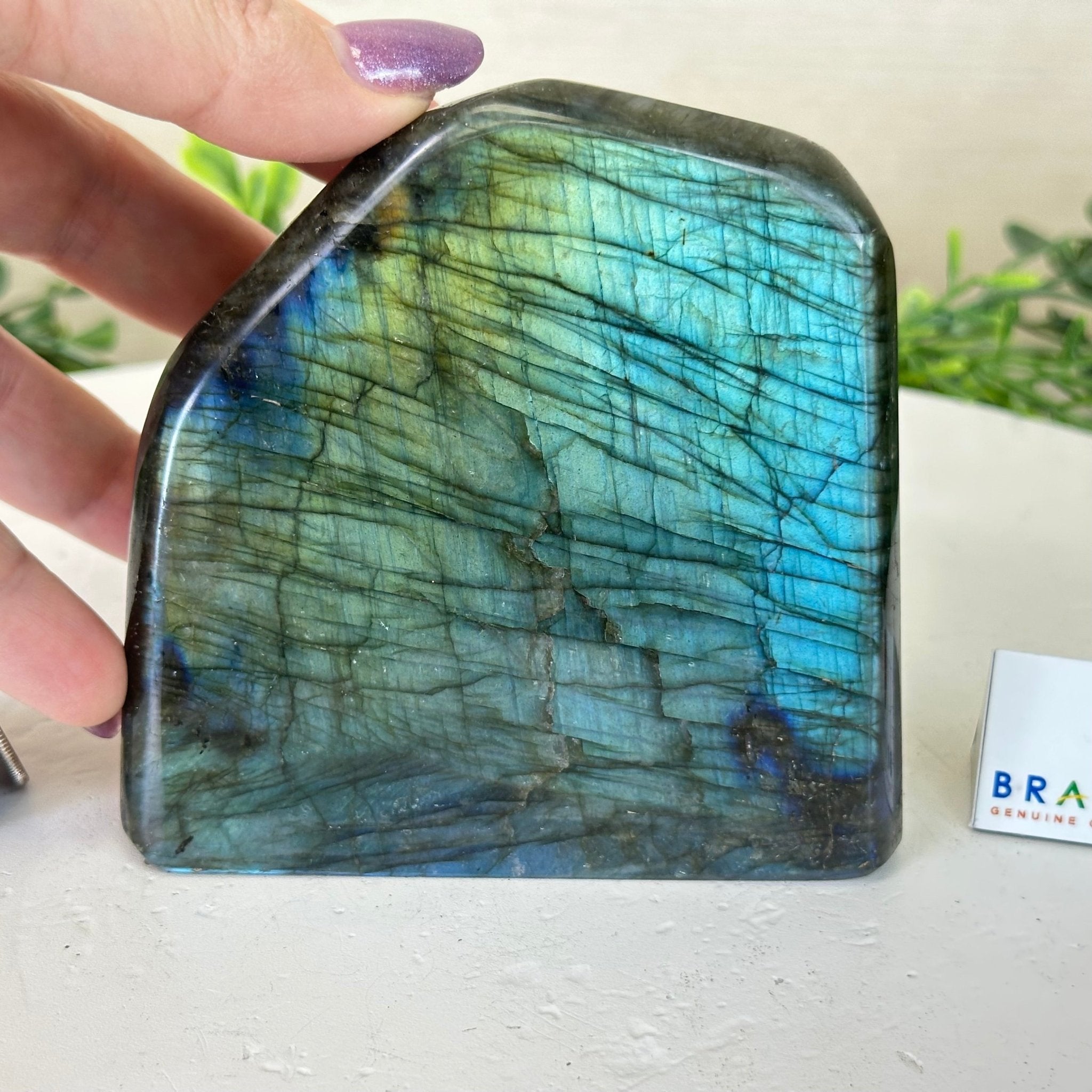 Polished Freeform Labradorite Gemstone, 2.5 lbs & 4” Tall #3301LB - 019 - Brazil GemsBrazil GemsPolished Freeform Labradorite Gemstone, 2.5 lbs & 4” Tall #3301LB - 019Freeform & Unique Shapes3301LB - 019