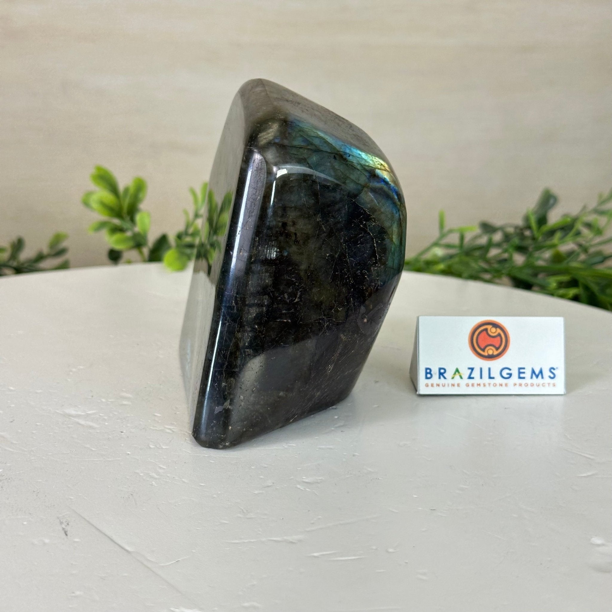 Polished Freeform Labradorite Gemstone, 2.5 lbs & 4” Tall #3301LB - 019 - Brazil GemsBrazil GemsPolished Freeform Labradorite Gemstone, 2.5 lbs & 4” Tall #3301LB - 019Freeform & Unique Shapes3301LB - 019