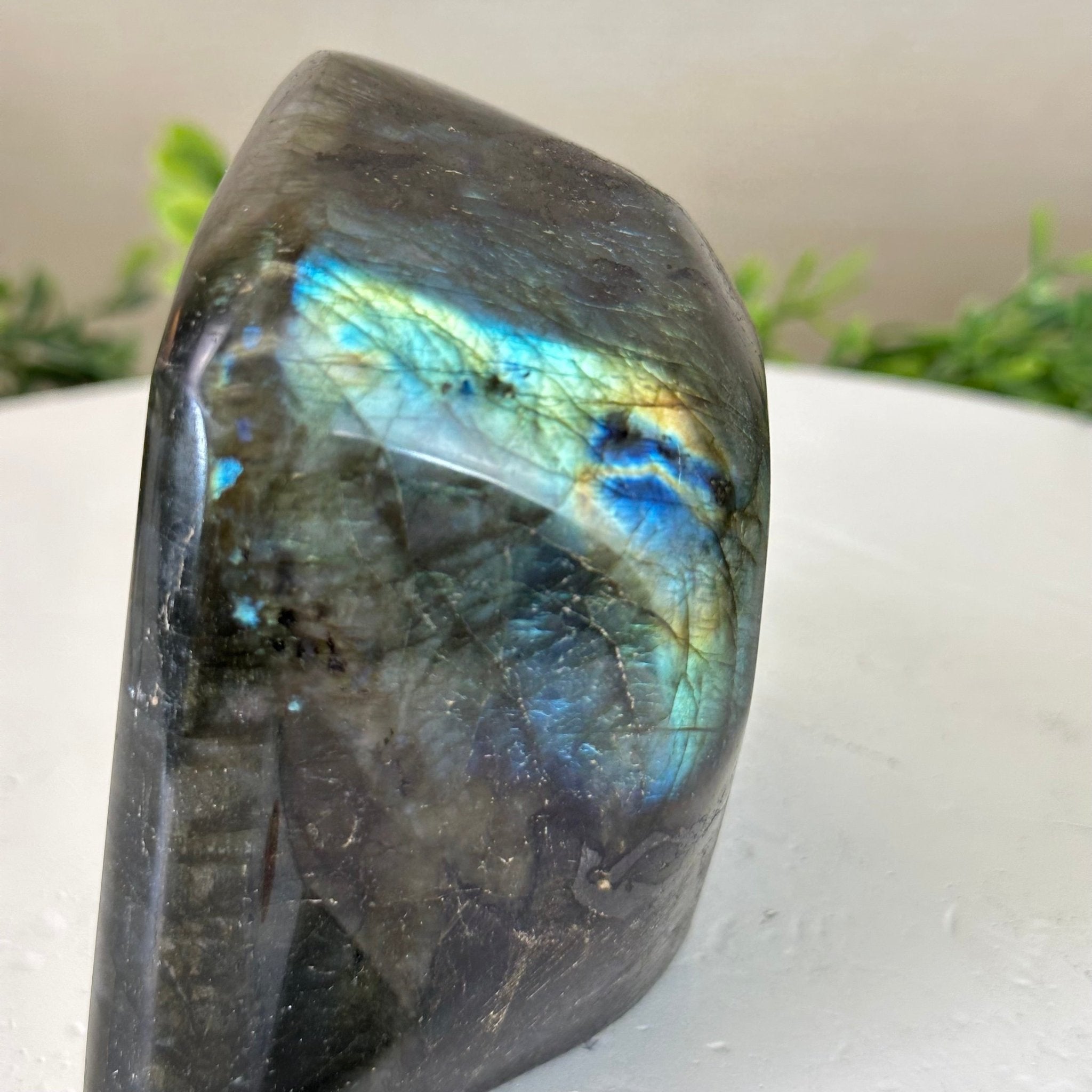 Polished Freeform Labradorite Gemstone, 2.5 lbs & 4” Tall #3301LB - 019 - Brazil GemsBrazil GemsPolished Freeform Labradorite Gemstone, 2.5 lbs & 4” Tall #3301LB - 019Freeform & Unique Shapes3301LB - 019