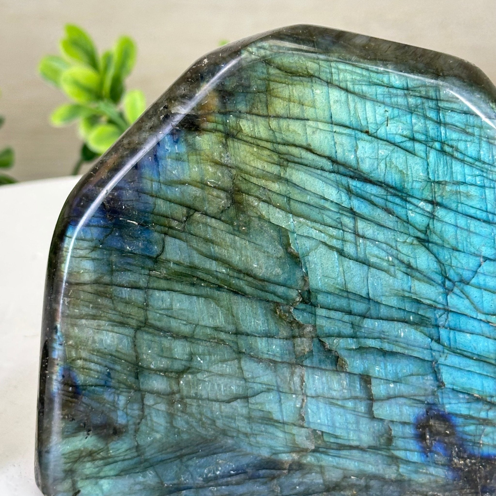 Polished Freeform Labradorite Gemstone, 2.5 lbs & 4” Tall #3301LB - 019 - Brazil GemsBrazil GemsPolished Freeform Labradorite Gemstone, 2.5 lbs & 4” Tall #3301LB - 019Freeform & Unique Shapes3301LB - 019