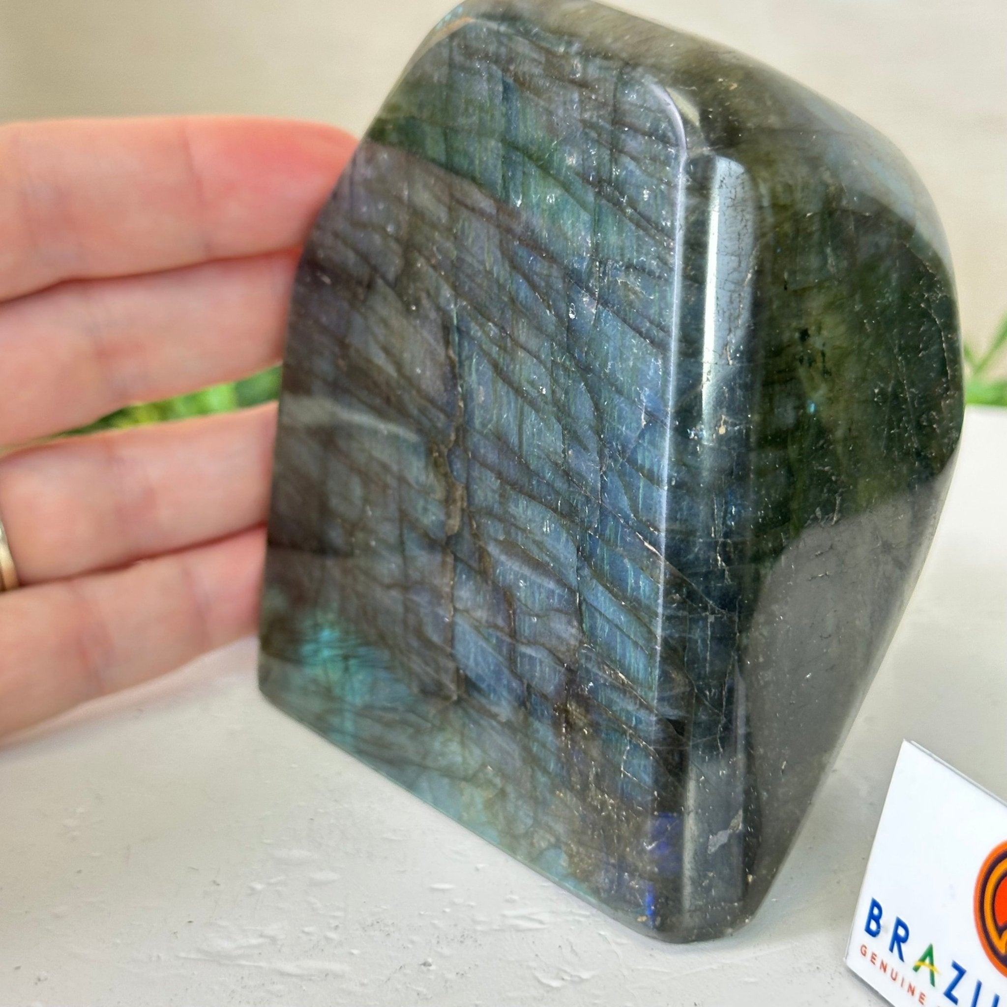 Polished Freeform Labradorite Gemstone, 2.5 lbs & 4” Tall #3301LB - 019 - Brazil GemsBrazil GemsPolished Freeform Labradorite Gemstone, 2.5 lbs & 4” Tall #3301LB - 019Freeform & Unique Shapes3301LB - 019