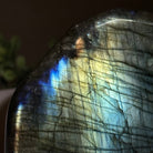 Polished Freeform Labradorite Gemstone, 2.5 lbs & 4” Tall #3301LB - 019 - Brazil GemsBrazil GemsPolished Freeform Labradorite Gemstone, 2.5 lbs & 4” Tall #3301LB - 019Freeform & Unique Shapes3301LB - 019