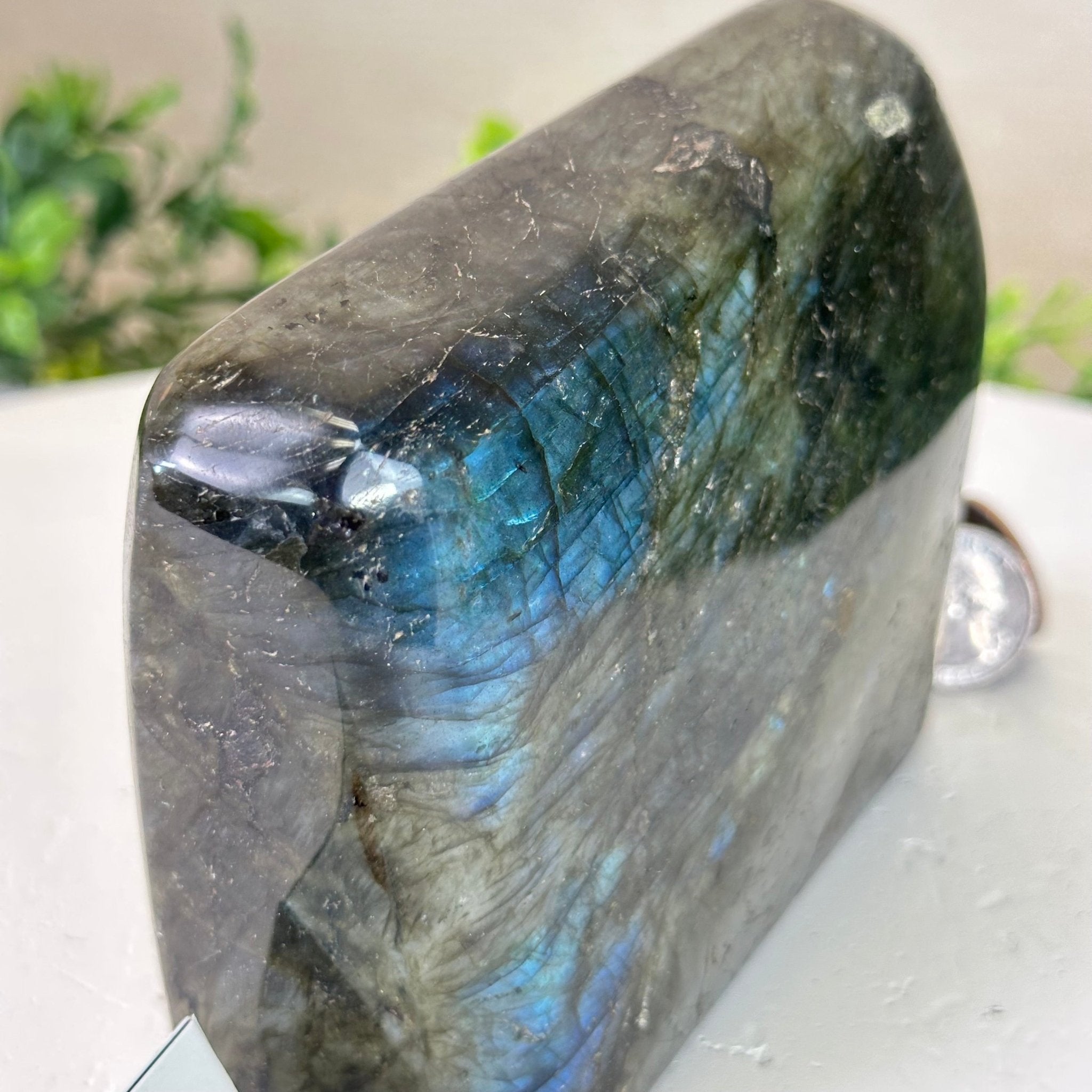 Polished Freeform Labradorite Gemstone, 2.5 lbs & 4.25” Tall #3301LB - 016 - Brazil GemsBrazil GemsPolished Freeform Labradorite Gemstone, 2.5 lbs & 4.25” Tall #3301LB - 016Freeform & Unique Shapes3301LB - 016