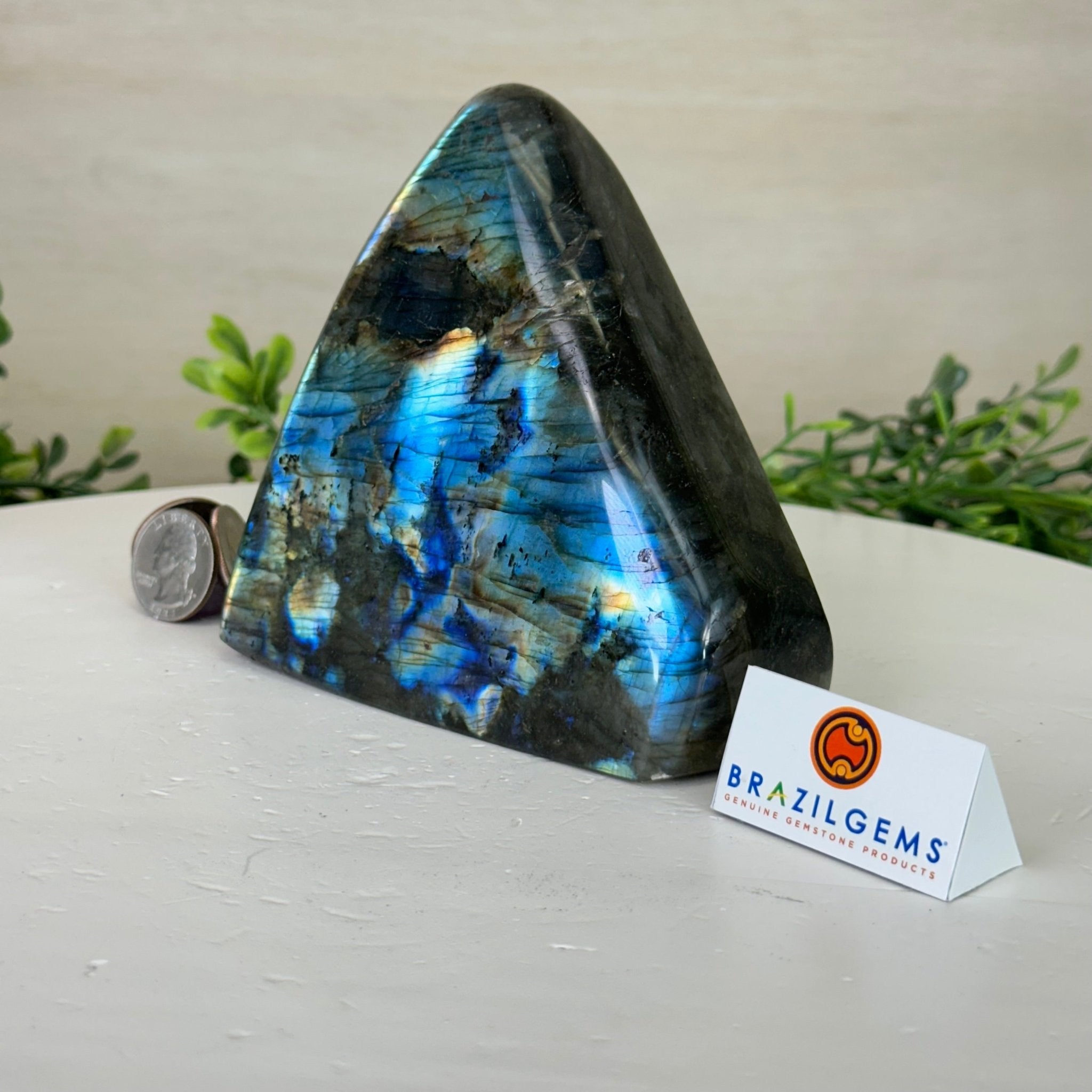 Polished Freeform Labradorite Gemstone, 2.5 lbs & 4.5” Tall #3301LB - 015 - Brazil GemsBrazil GemsPolished Freeform Labradorite Gemstone, 2.5 lbs & 4.5” Tall #3301LB - 015Freeform & Unique Shapes3301LB - 015