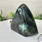 Polished Freeform Labradorite Gemstone, 2.5 lbs & 4.5” Tall #3301LB - 015 - Brazil GemsBrazil GemsPolished Freeform Labradorite Gemstone, 2.5 lbs & 4.5” Tall #3301LB - 015Freeform & Unique Shapes3301LB - 015