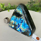 Polished Freeform Labradorite Gemstone, 2.5 lbs & 4.5” Tall #3301LB - 015 - Brazil GemsBrazil GemsPolished Freeform Labradorite Gemstone, 2.5 lbs & 4.5” Tall #3301LB - 015Freeform & Unique Shapes3301LB - 015