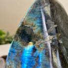 Polished Freeform Labradorite Gemstone, 2.5 lbs & 4.5” Tall #3301LB - 015 - Brazil GemsBrazil GemsPolished Freeform Labradorite Gemstone, 2.5 lbs & 4.5” Tall #3301LB - 015Freeform & Unique Shapes3301LB - 015